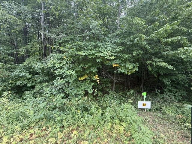 Lot 12 BURMA ROAD, Mosinee, Wisconsin 54455, ,Land,For Sale,Lot 12 BURMA ROAD,22603959