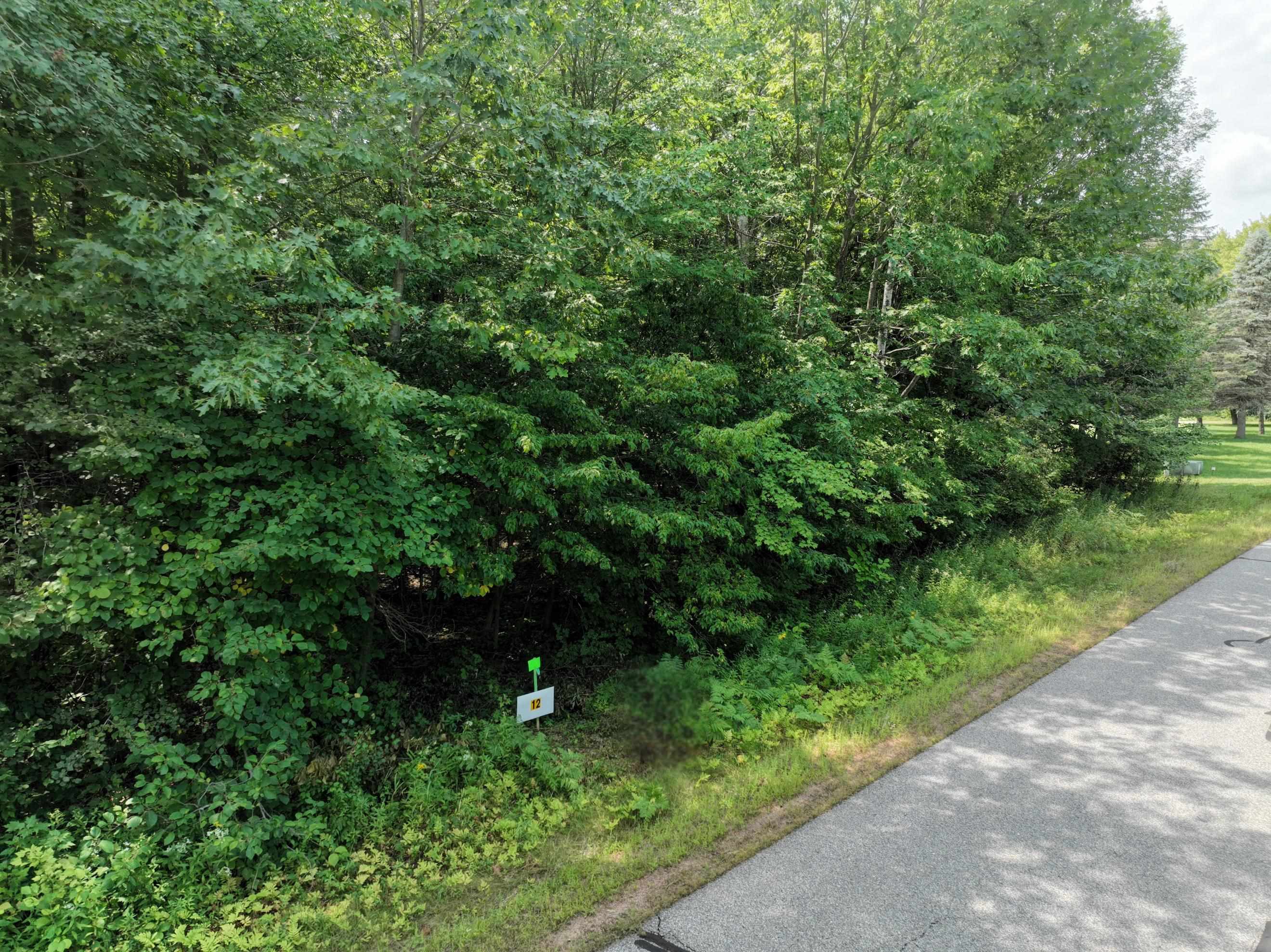 Lot 12 BURMA ROAD, Mosinee, Wisconsin 54455, ,Land,For Sale,Lot 12 BURMA ROAD,22603959