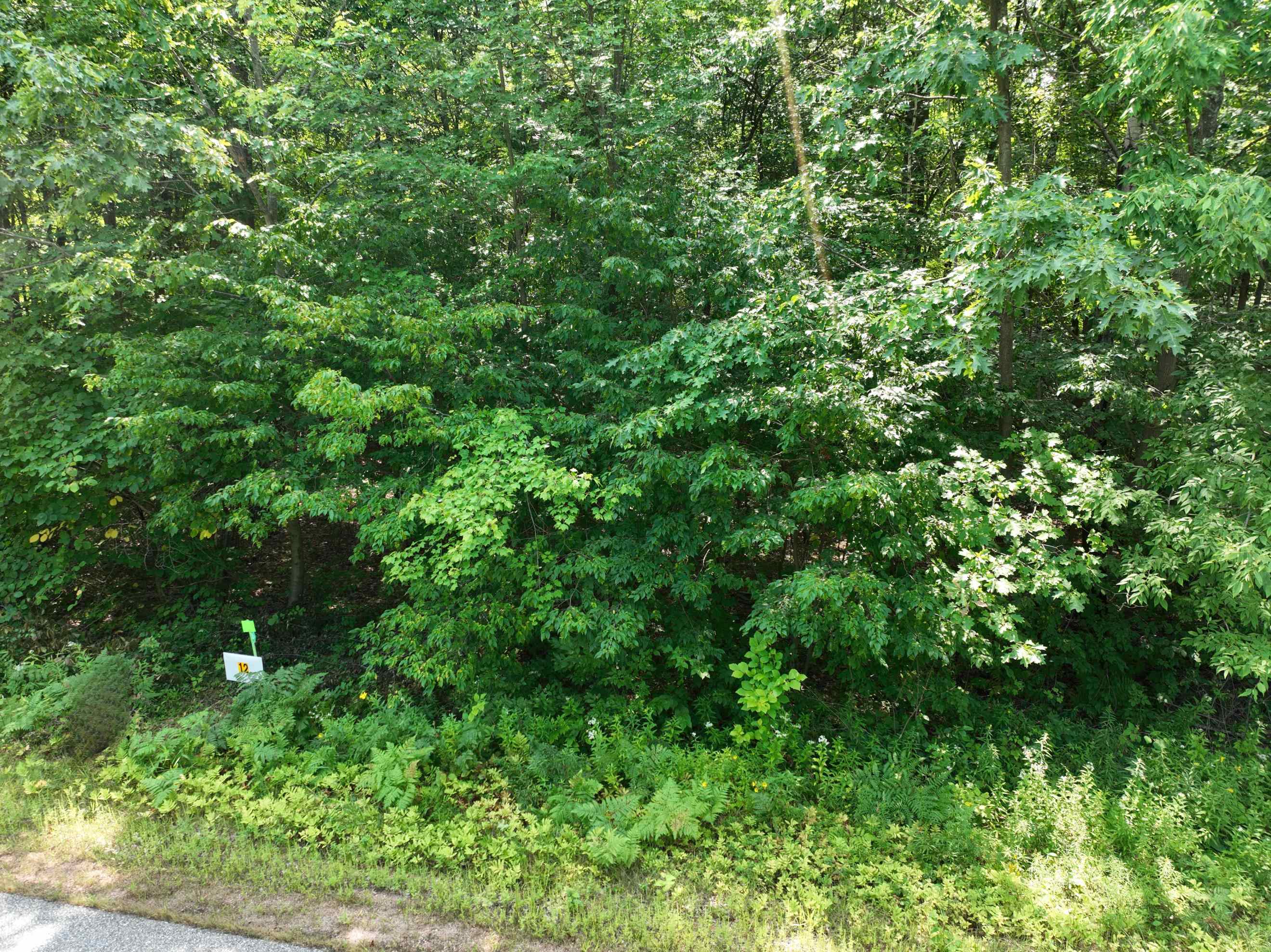 Lot 12 BURMA ROAD, Mosinee, Wisconsin 54455, ,Land,For Sale,Lot 12 BURMA ROAD,22603959