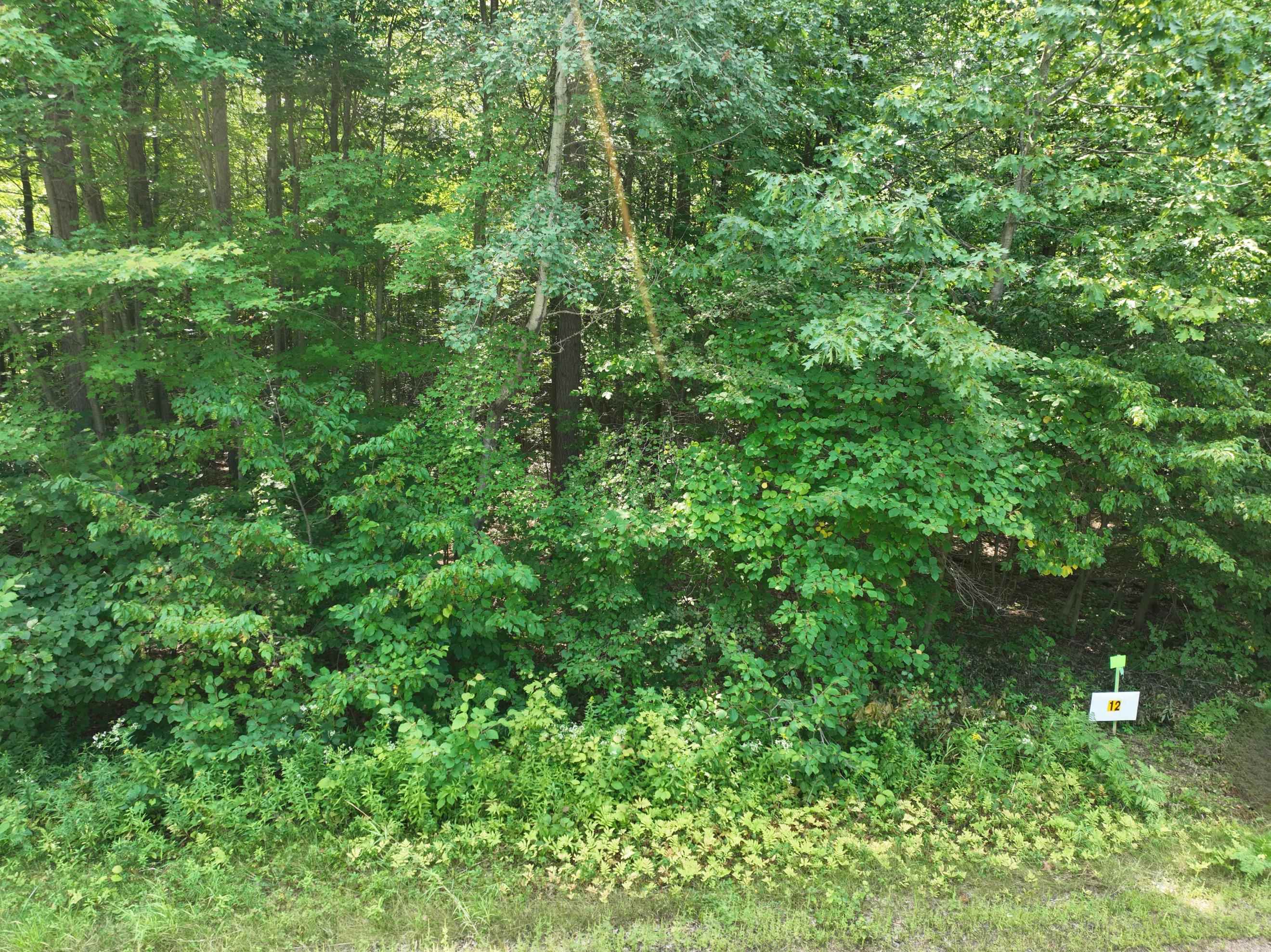 Lot 12 BURMA ROAD, Mosinee, Wisconsin 54455, ,Land,For Sale,Lot 12 BURMA ROAD,22603959