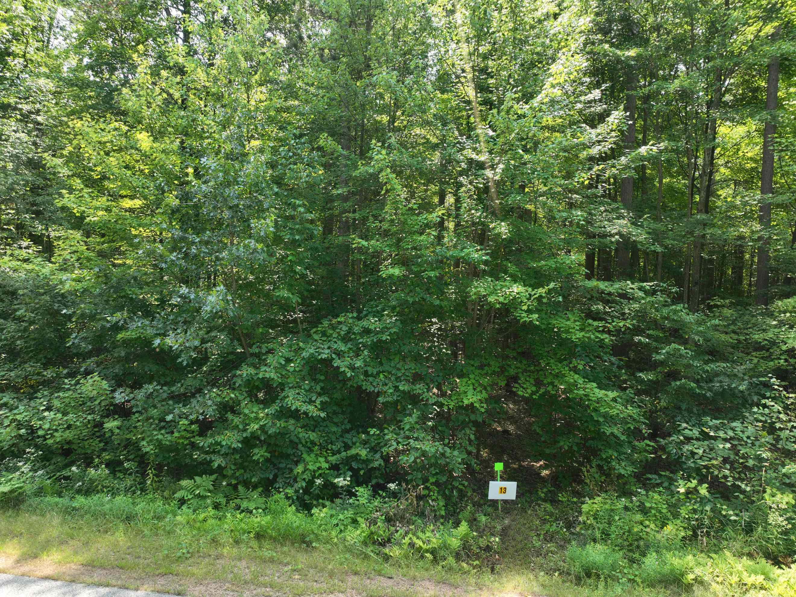 Lot 13 BURMA ROAD, Mosinee, Wisconsin 54455, ,Land,For Sale,Lot 13 BURMA ROAD,22603964