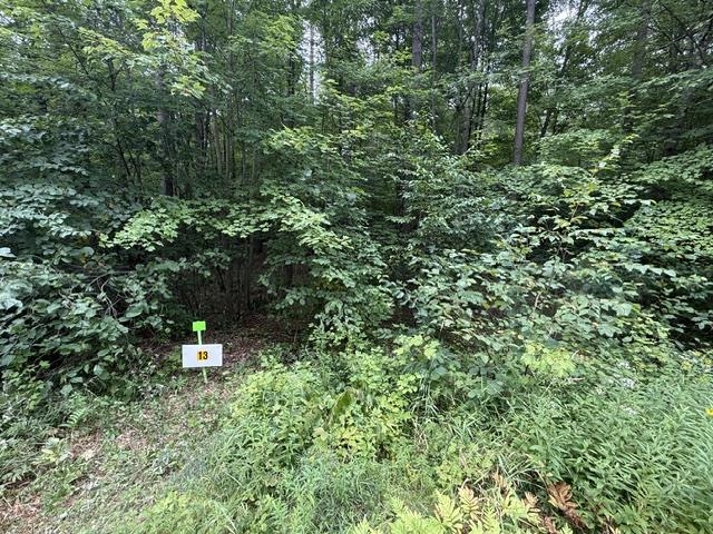 Lot 13 BURMA ROAD, Mosinee, Wisconsin 54455, ,Land,For Sale,Lot 13 BURMA ROAD,22603964