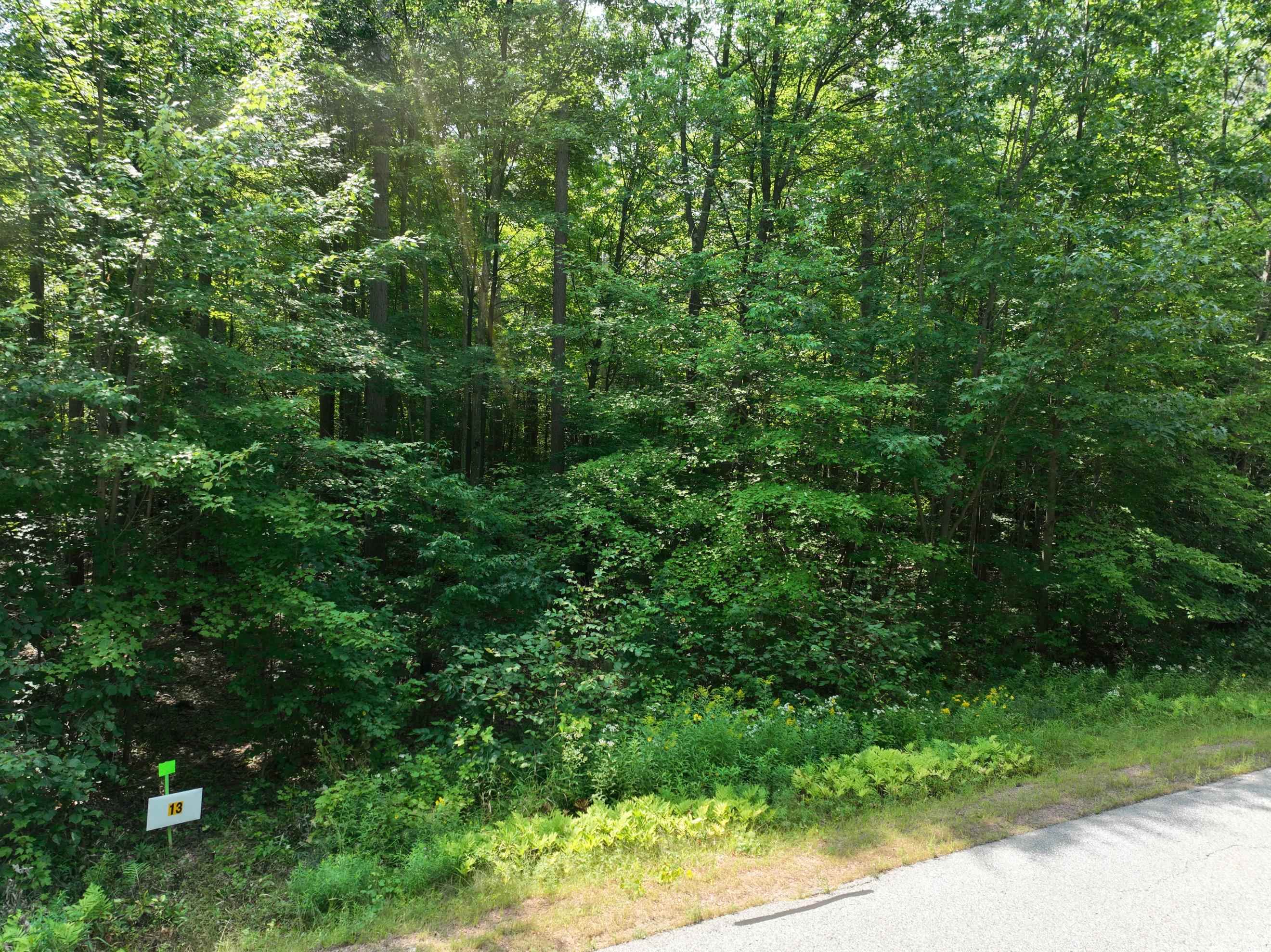Lot 13 BURMA ROAD, Mosinee, Wisconsin 54455, ,Land,For Sale,Lot 13 BURMA ROAD,22603964