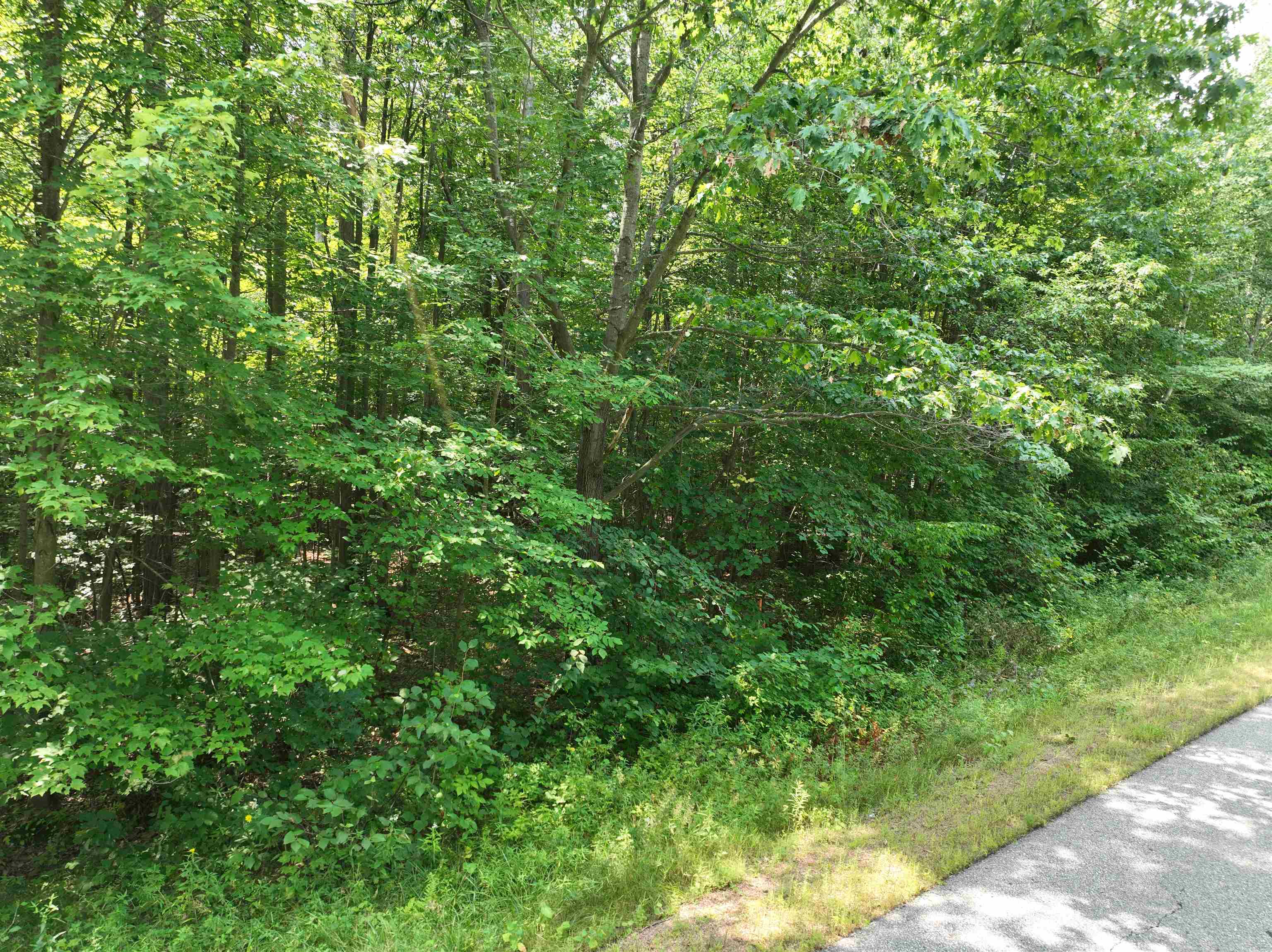 Lot 13 BURMA ROAD, Mosinee, Wisconsin 54455, ,Land,For Sale,Lot 13 BURMA ROAD,22603964