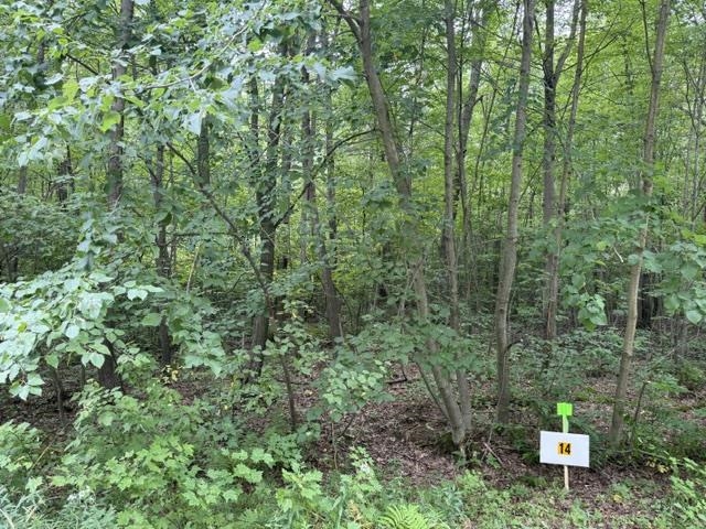 Lot 14 BURMA ROAD, Mosinee, Wisconsin 54455, ,Land,For Sale,Lot 14 BURMA ROAD,22603972