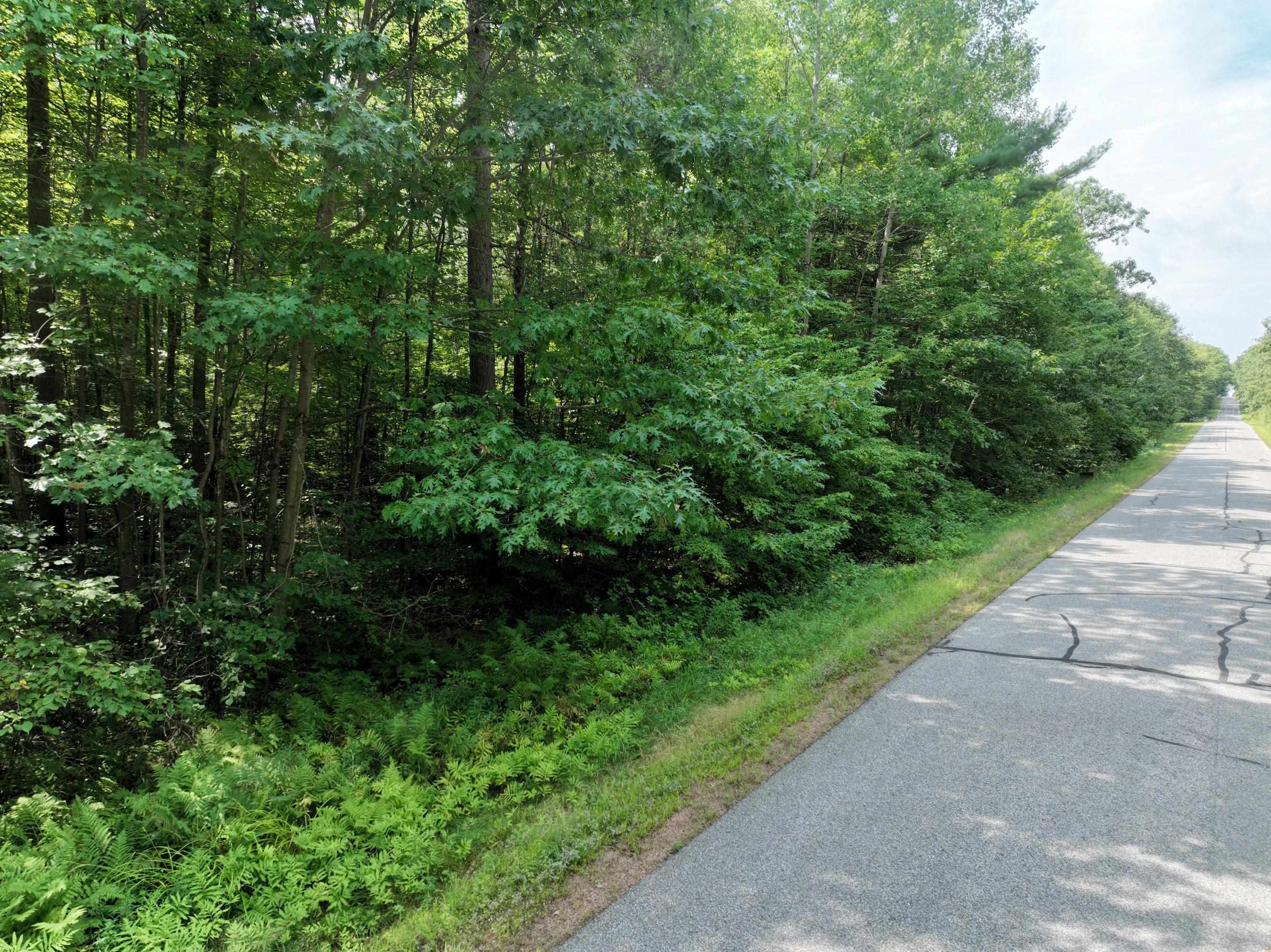 Lot 14 BURMA ROAD, Mosinee, Wisconsin 54455, ,Land,For Sale,Lot 14 BURMA ROAD,22603972