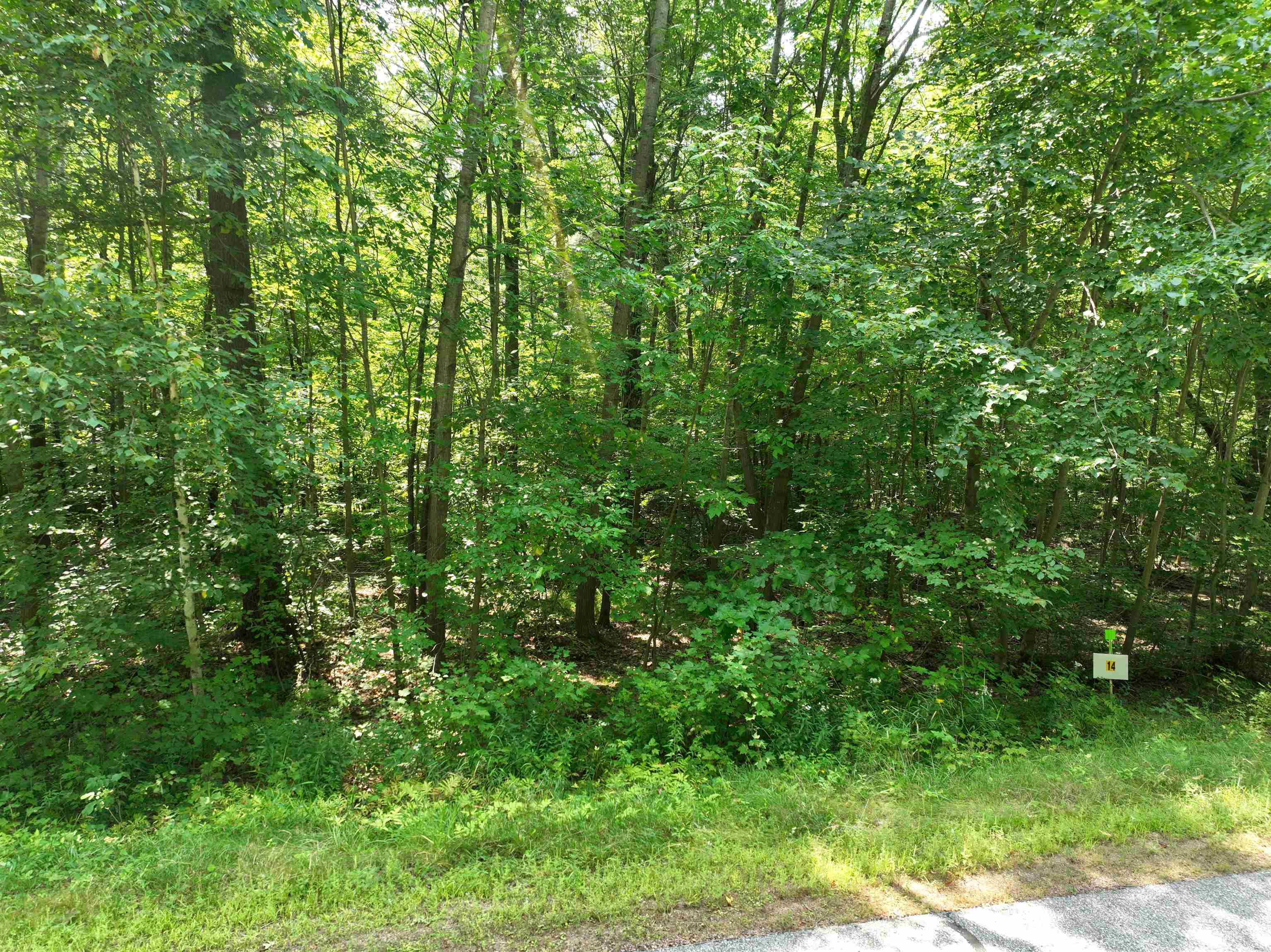 Lot 14 BURMA ROAD, Mosinee, Wisconsin 54455, ,Land,For Sale,Lot 14 BURMA ROAD,22603972