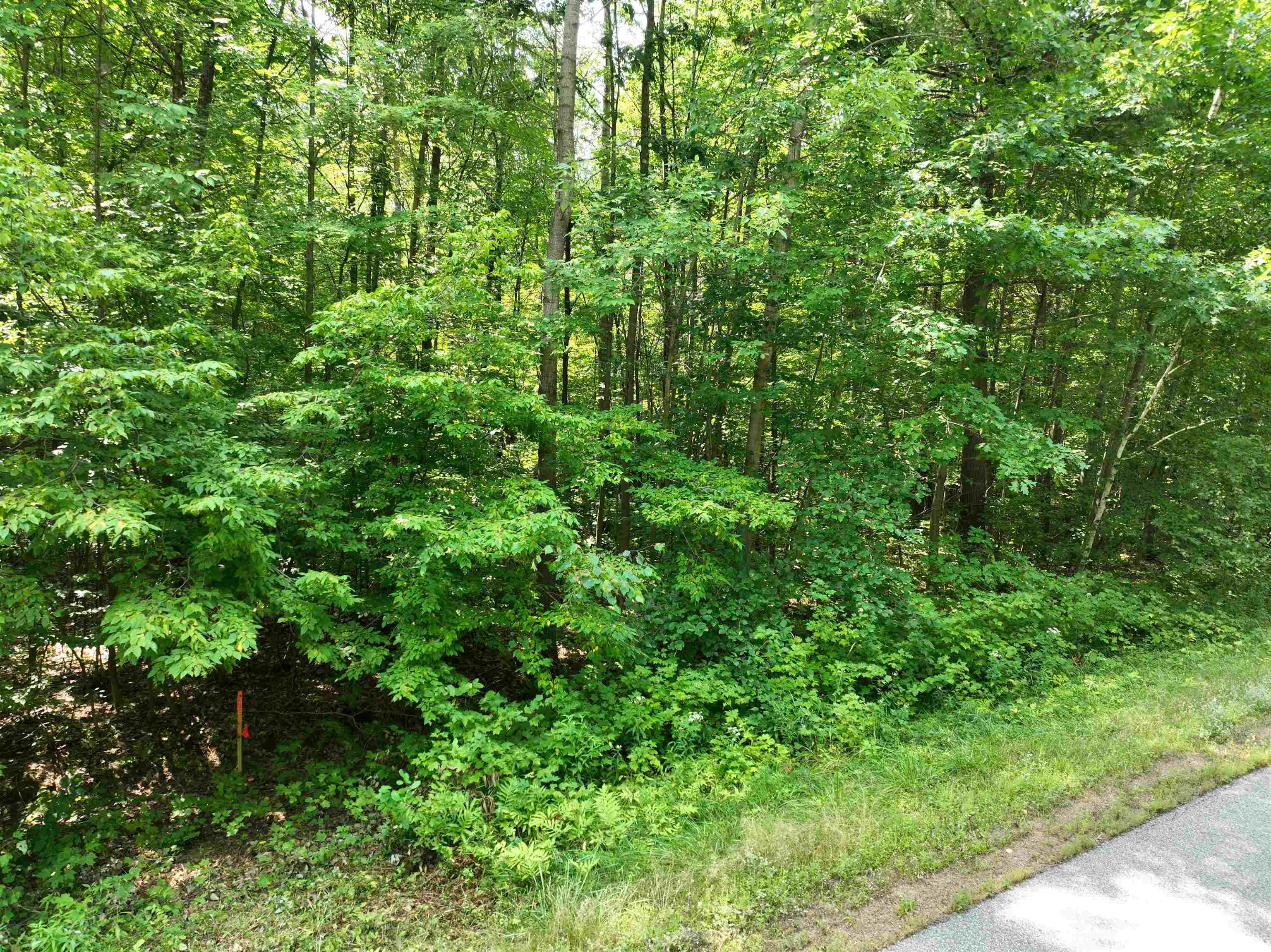 Lot 14 BURMA ROAD, Mosinee, Wisconsin 54455, ,Land,For Sale,Lot 14 BURMA ROAD,22603972