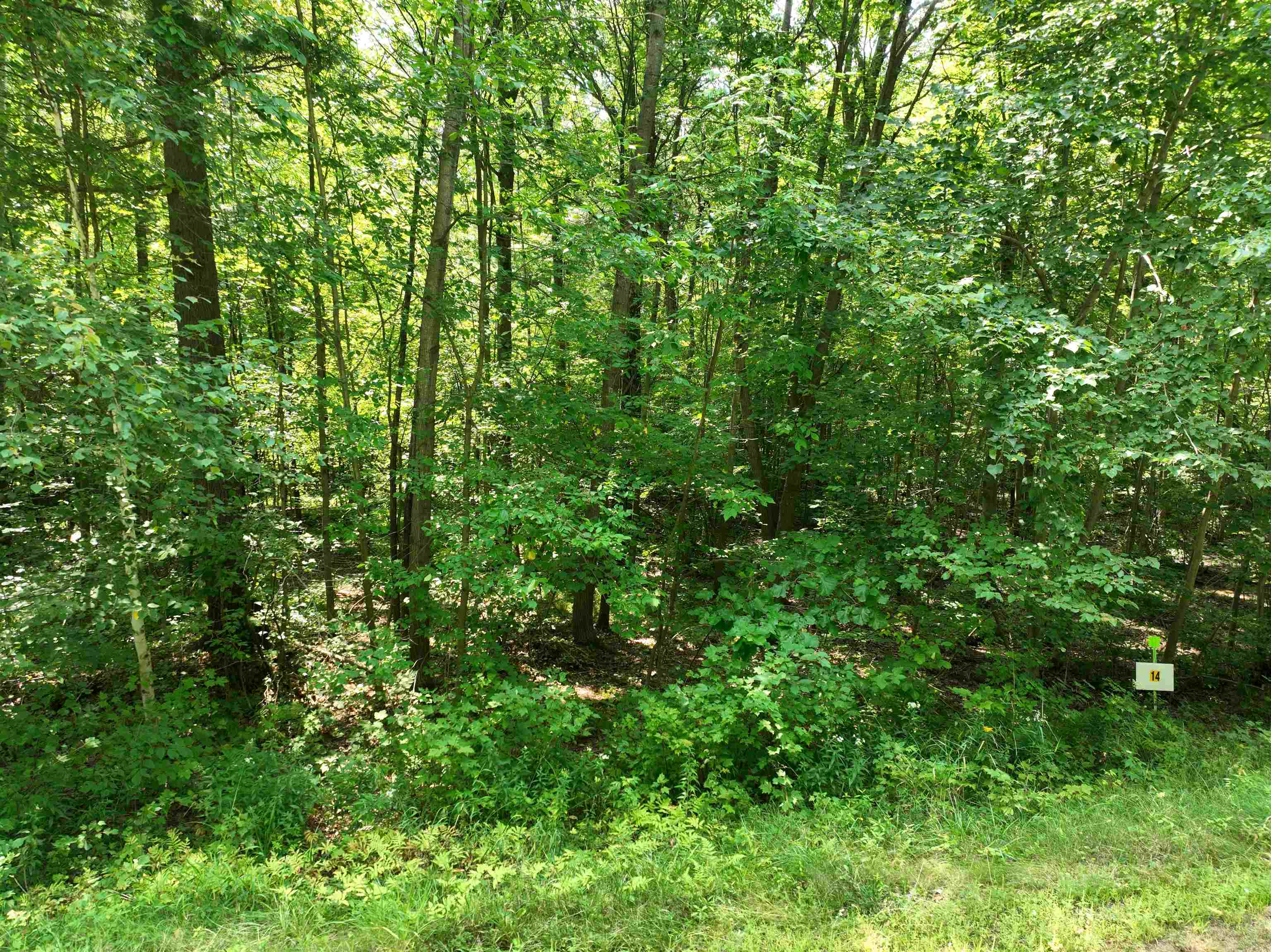 Lot 14 BURMA ROAD, Mosinee, Wisconsin 54455, ,Land,For Sale,Lot 14 BURMA ROAD,22603972