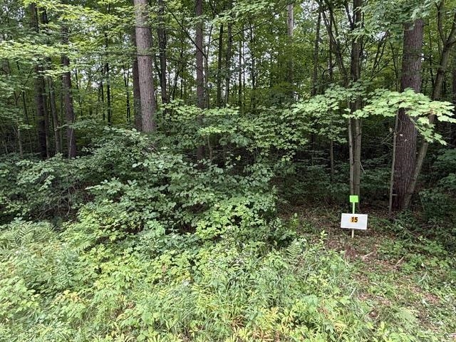 Lot 15 BURMA ROAD, Mosinee, Wisconsin 54455, ,Land,For Sale,Lot 15 BURMA ROAD,22603973