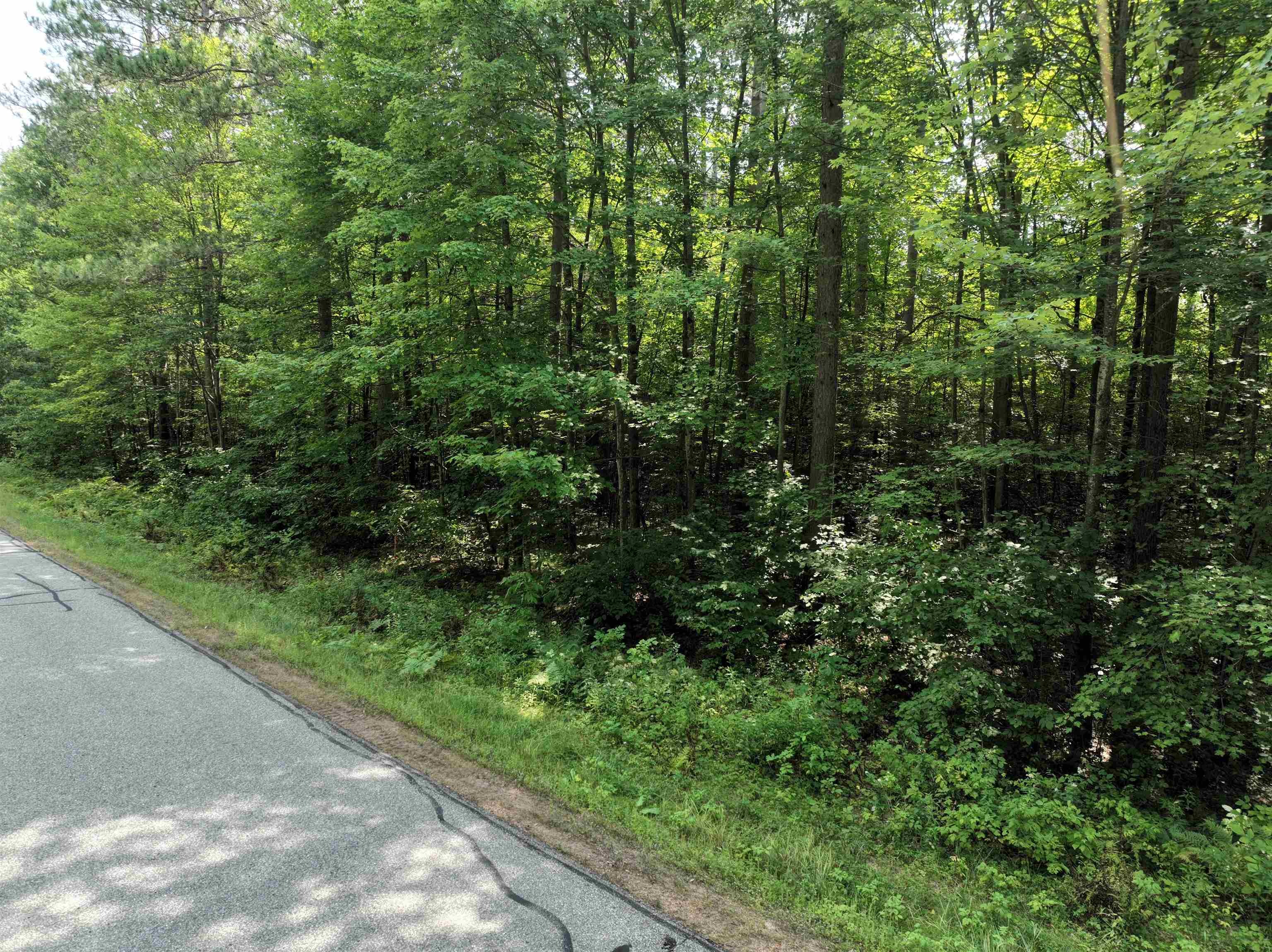 Lot 15 BURMA ROAD, Mosinee, Wisconsin 54455, ,Land,For Sale,Lot 15 BURMA ROAD,22603973