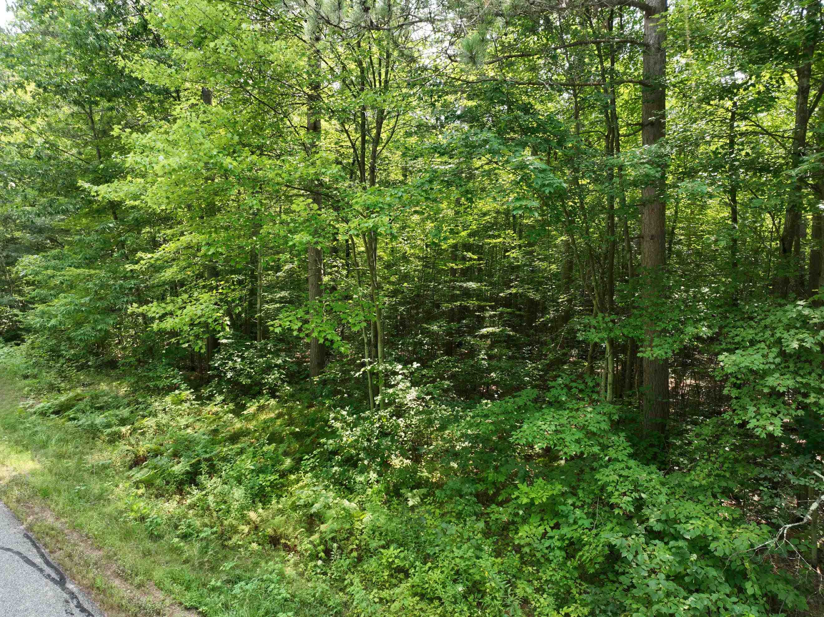 Lot 15 BURMA ROAD, Mosinee, Wisconsin 54455, ,Land,For Sale,Lot 15 BURMA ROAD,22603973