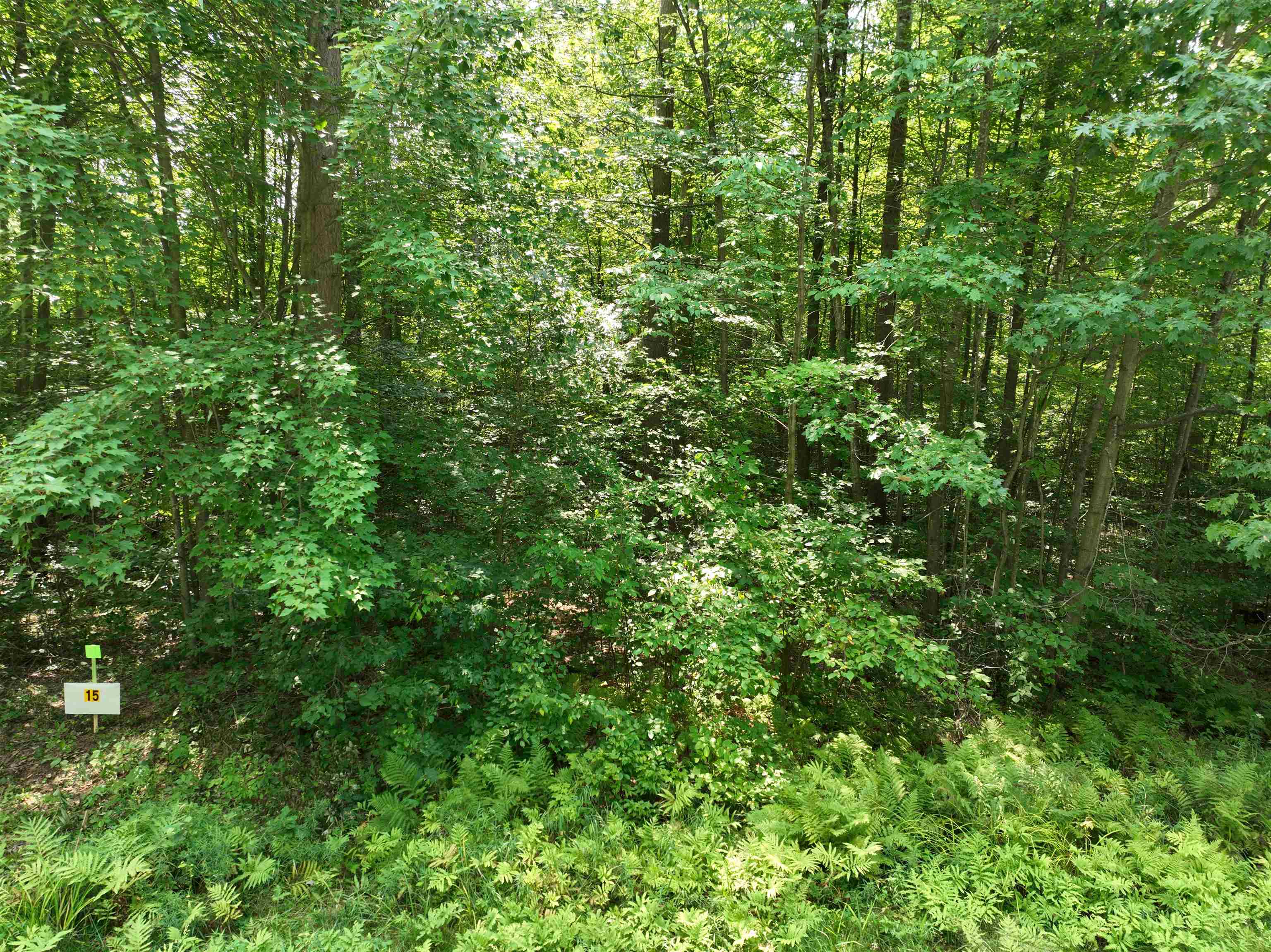 Lot 15 BURMA ROAD, Mosinee, Wisconsin 54455, ,Land,For Sale,Lot 15 BURMA ROAD,22603973