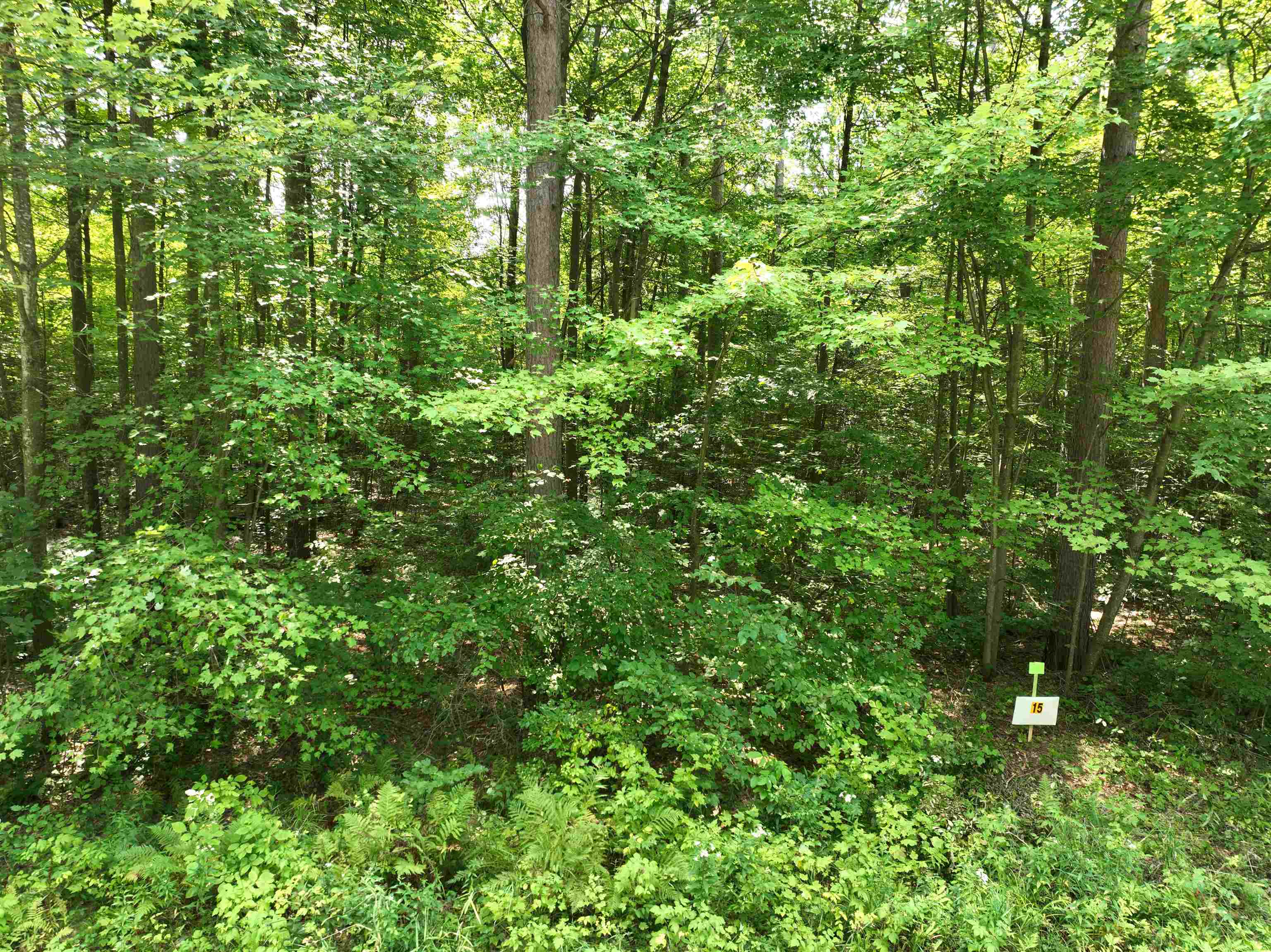 Lot 15 BURMA ROAD, Mosinee, Wisconsin 54455, ,Land,For Sale,Lot 15 BURMA ROAD,22603973