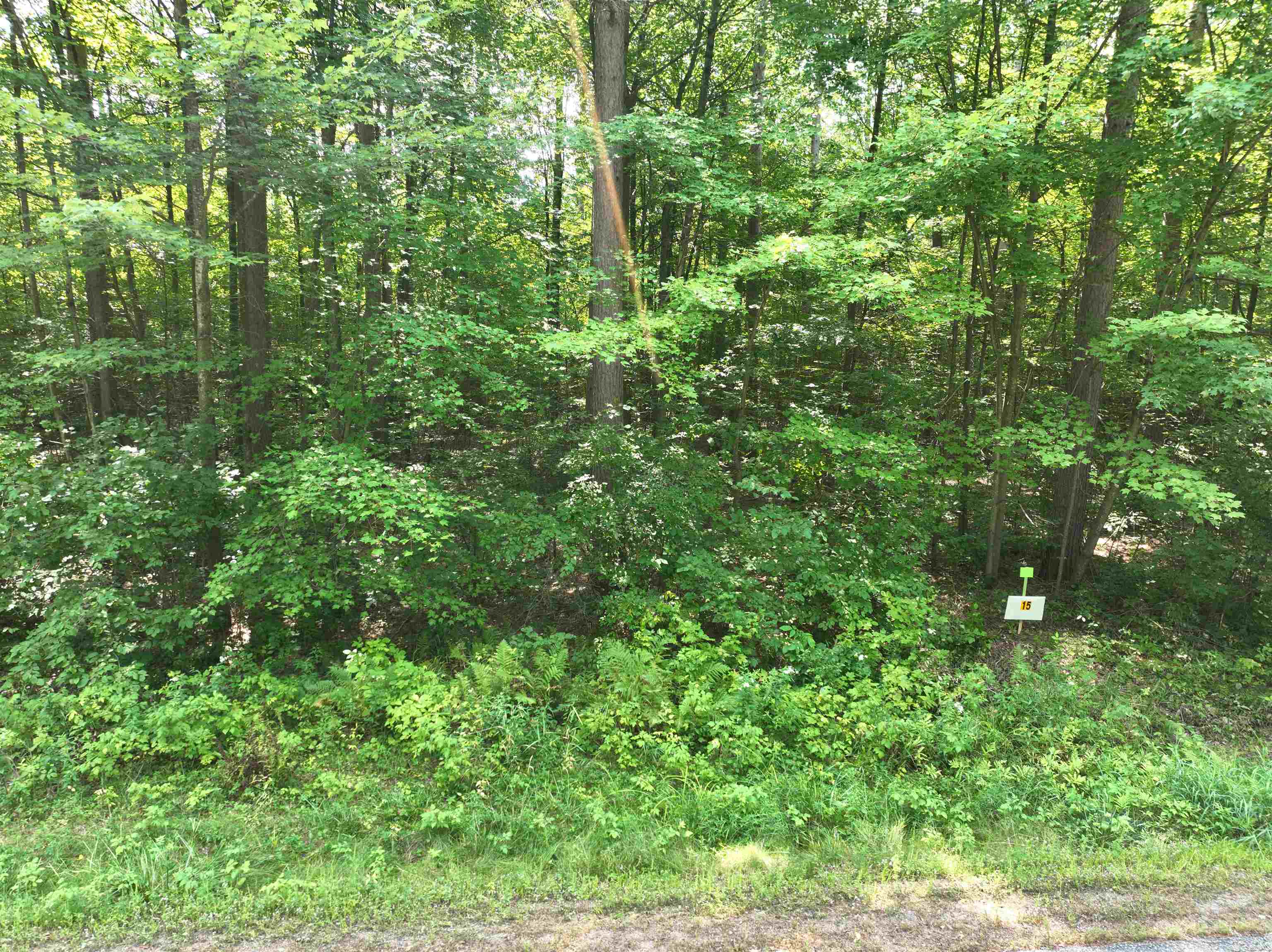 Lot 15 BURMA ROAD, Mosinee, Wisconsin 54455, ,Land,For Sale,Lot 15 BURMA ROAD,22603973