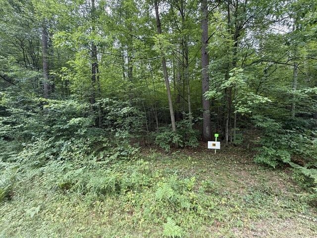 Lot 16 BURMA ROAD, Mosinee, Wisconsin 54455, ,Land,For Sale,Lot 16 BURMA ROAD,22603974