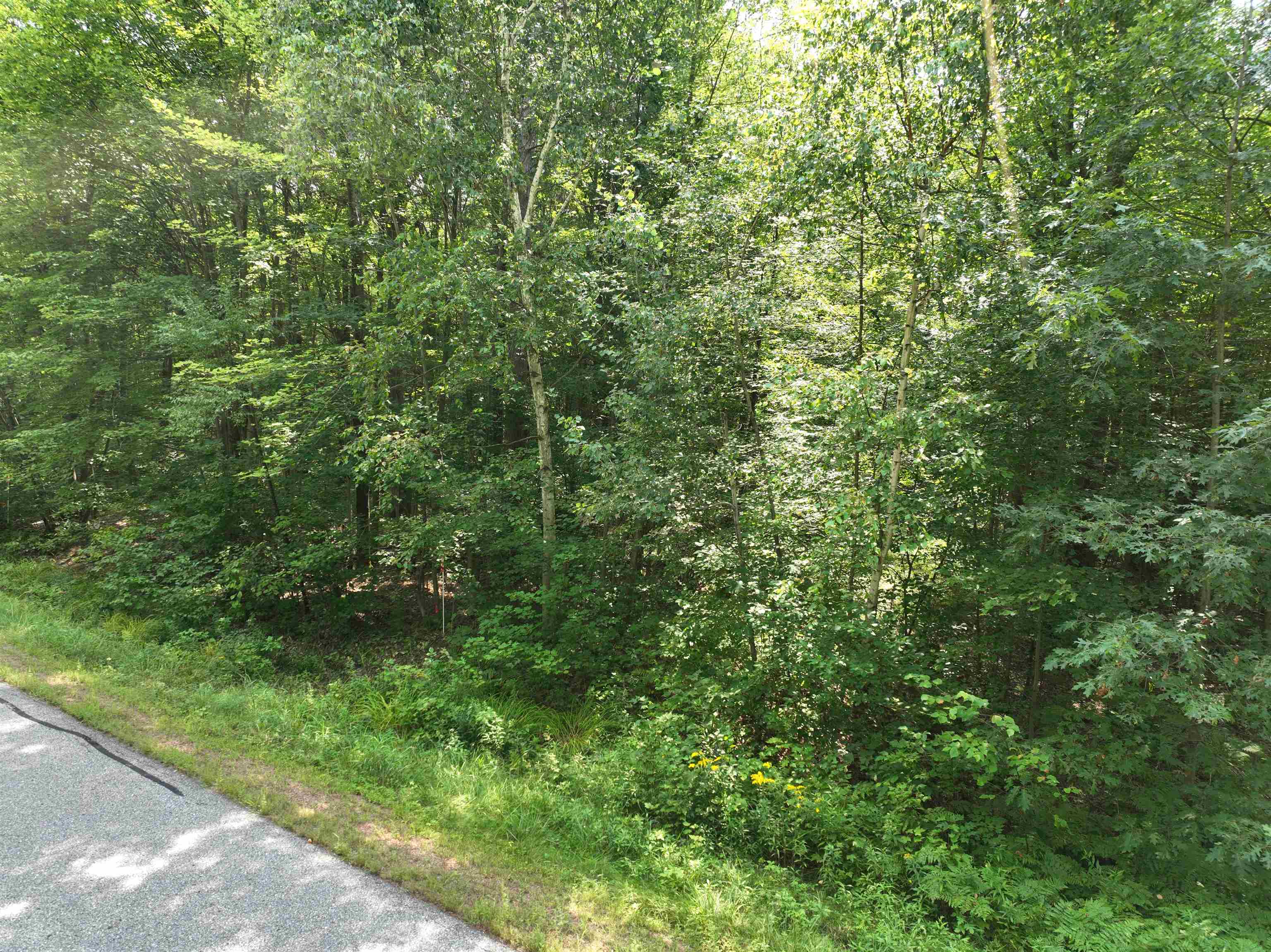 Lot 16 BURMA ROAD, Mosinee, Wisconsin 54455, ,Land,For Sale,Lot 16 BURMA ROAD,22603974