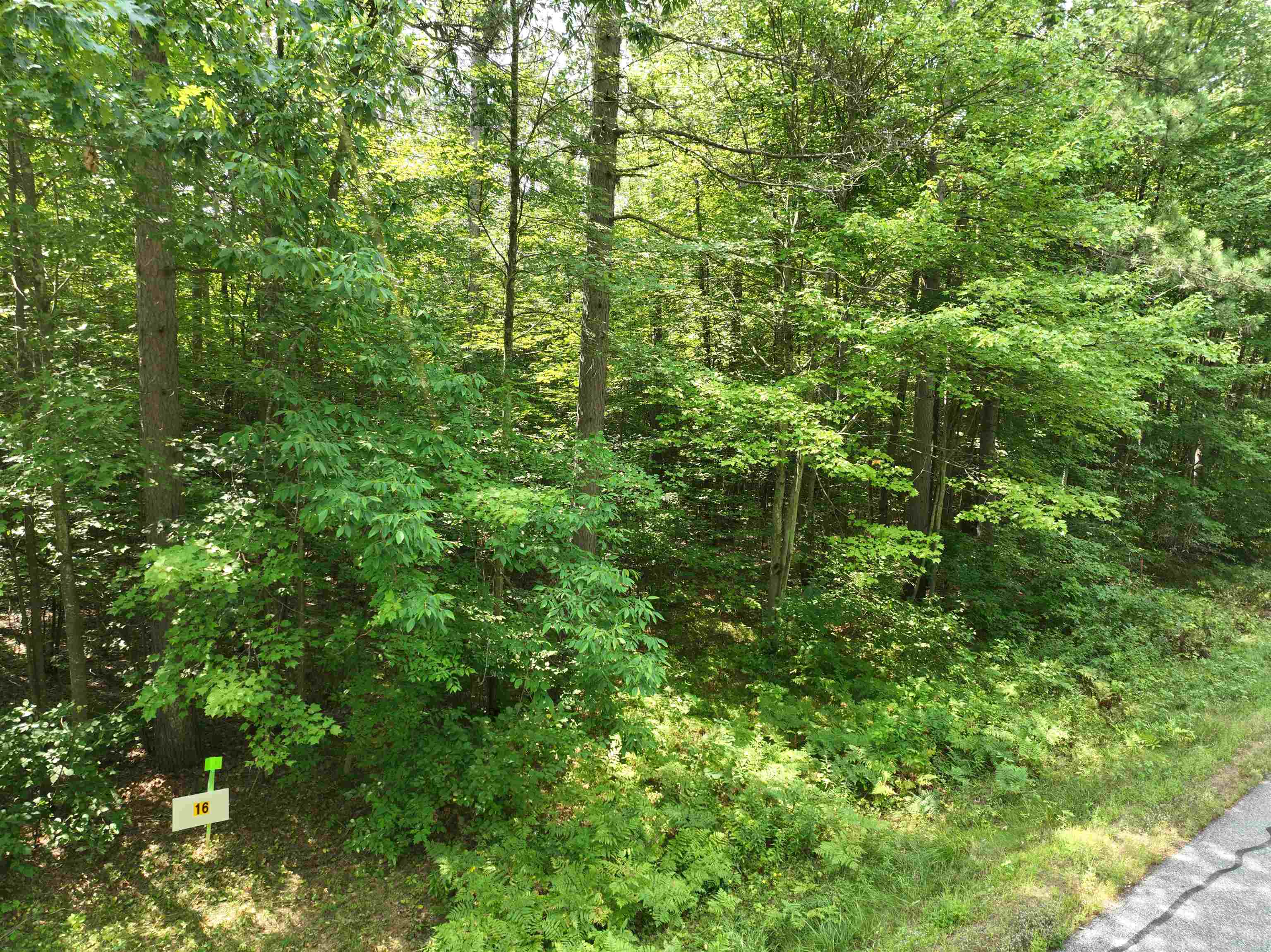 Lot 16 BURMA ROAD, Mosinee, Wisconsin 54455, ,Land,For Sale,Lot 16 BURMA ROAD,22603974