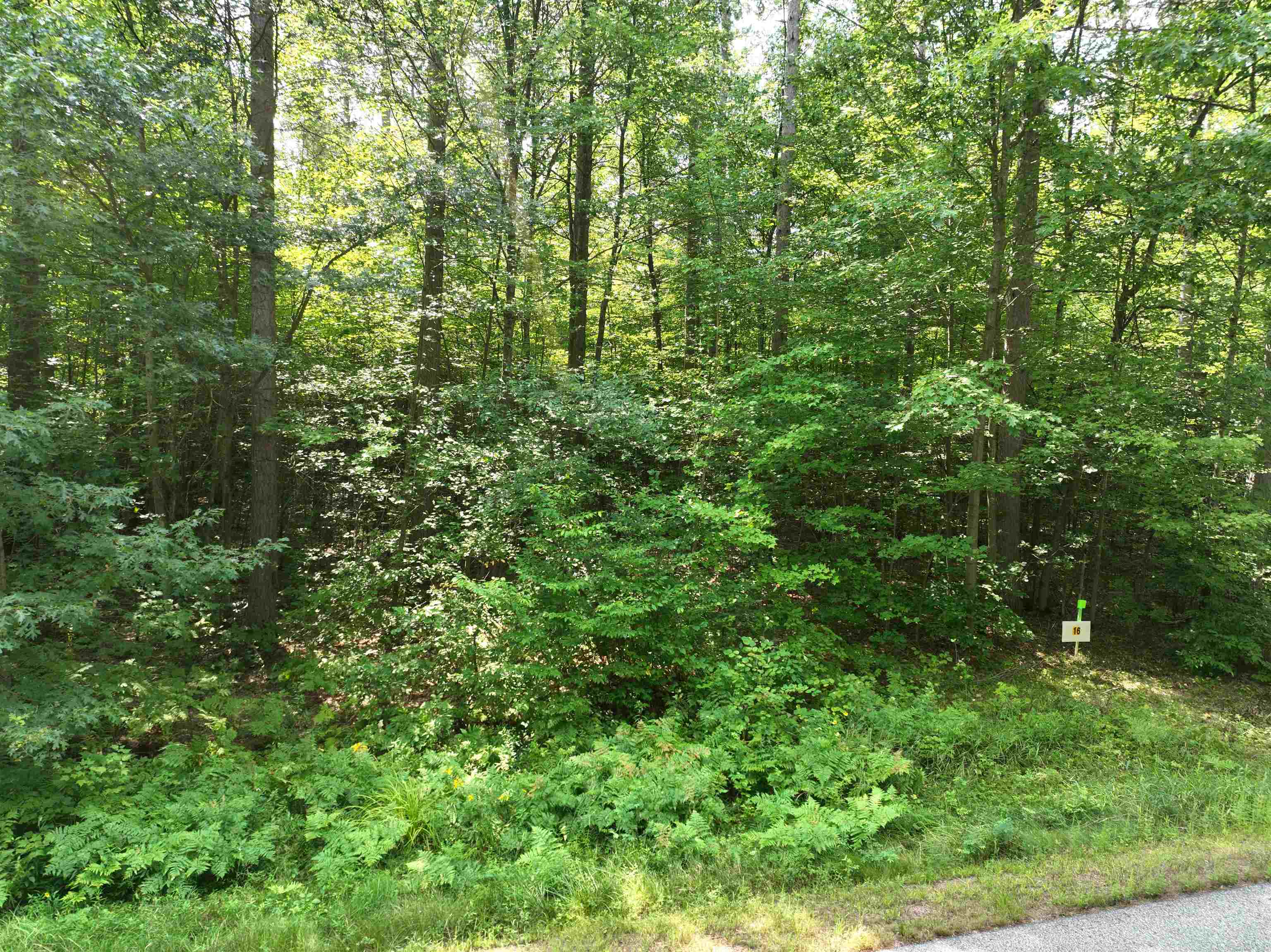 Lot 16 BURMA ROAD, Mosinee, Wisconsin 54455, ,Land,For Sale,Lot 16 BURMA ROAD,22603974