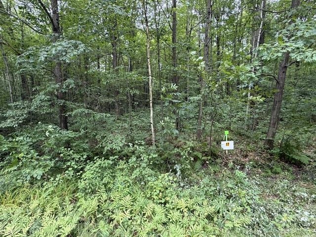Lot 17 BURMA ROAD, Mosinee, Wisconsin 54455, ,Land,For Sale,Lot 17 BURMA ROAD,22603975