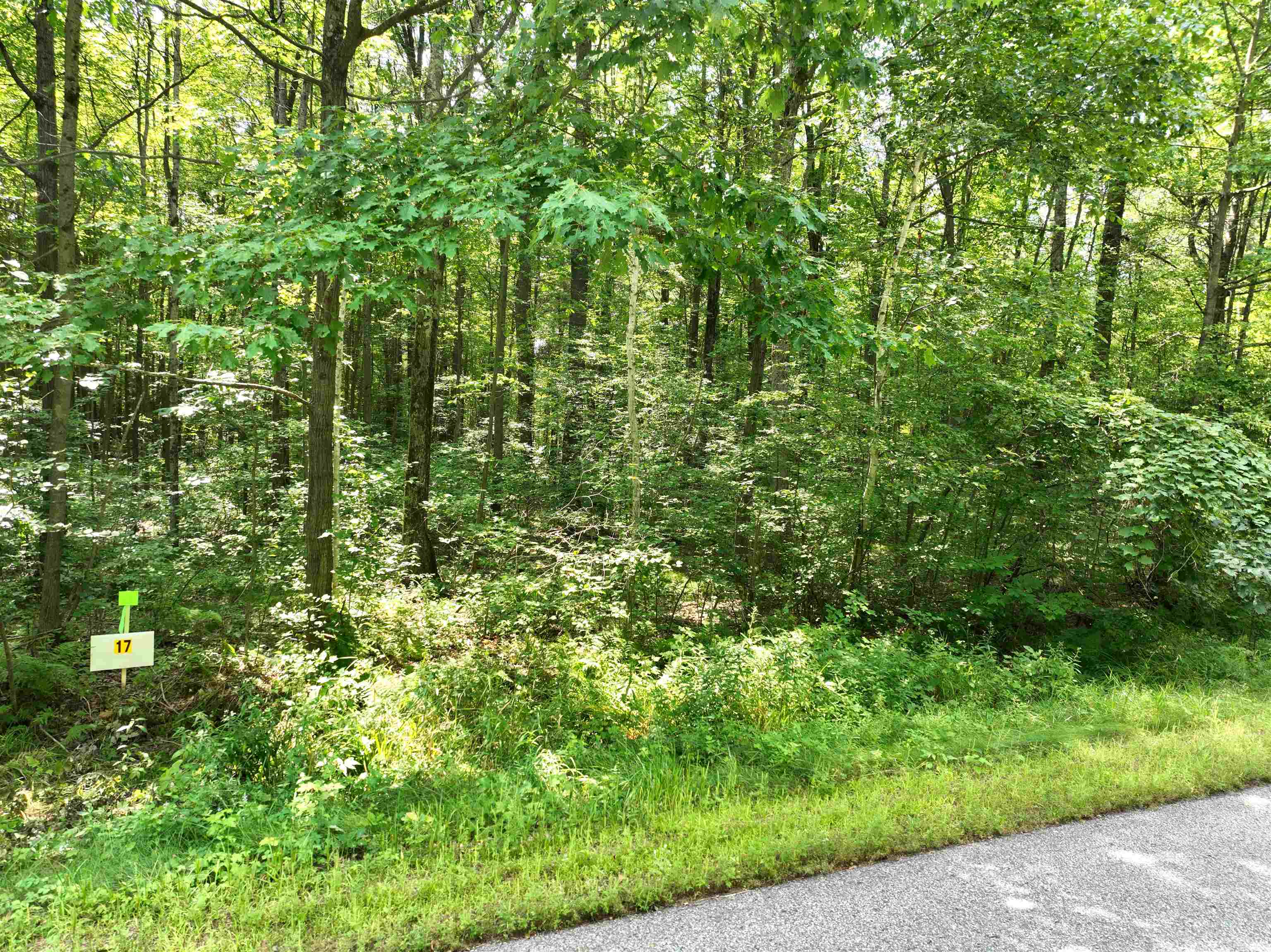 Lot 17 BURMA ROAD, Mosinee, Wisconsin 54455, ,Land,For Sale,Lot 17 BURMA ROAD,22603975
