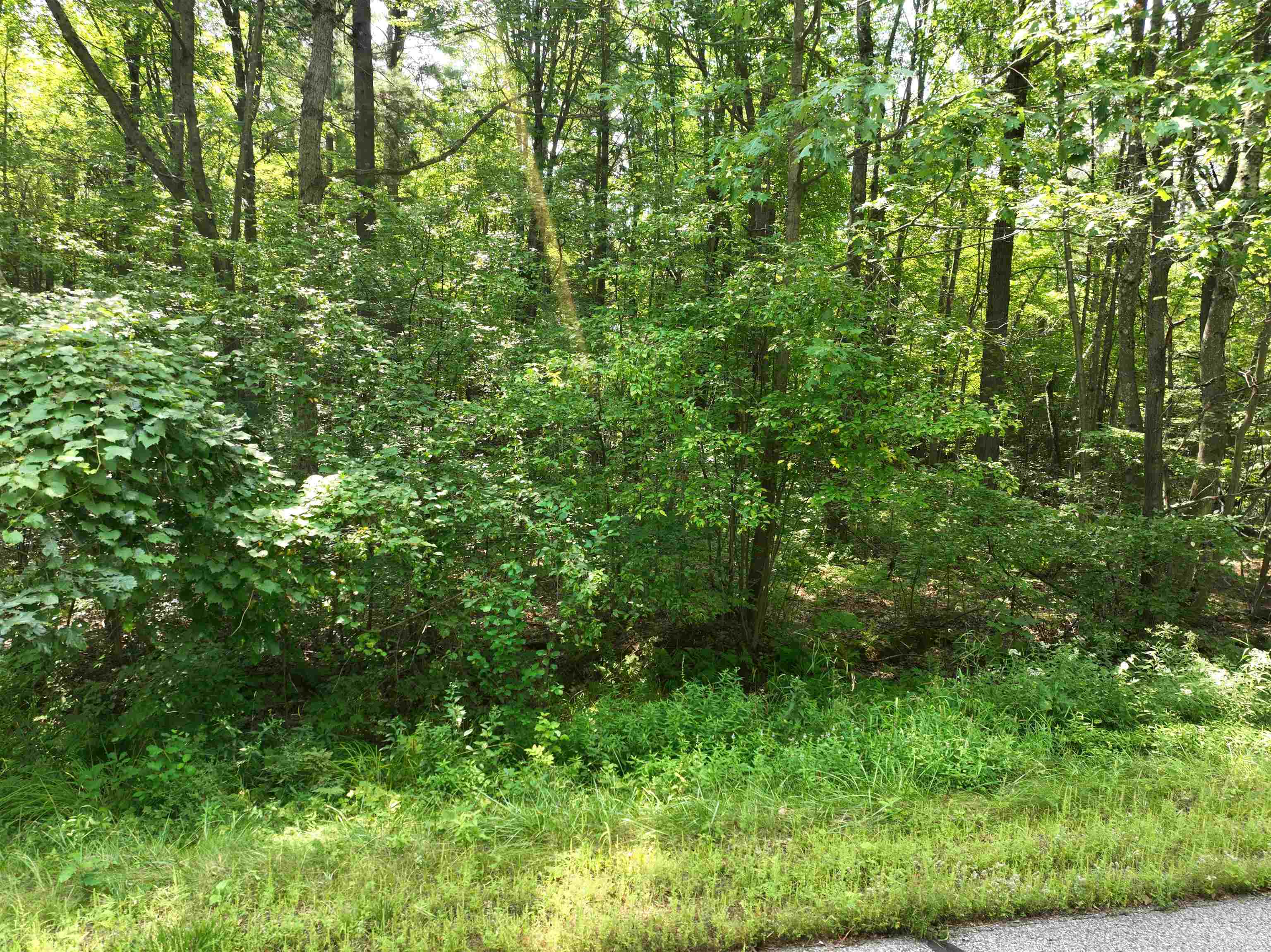 Lot 17 BURMA ROAD, Mosinee, Wisconsin 54455, ,Land,For Sale,Lot 17 BURMA ROAD,22603975