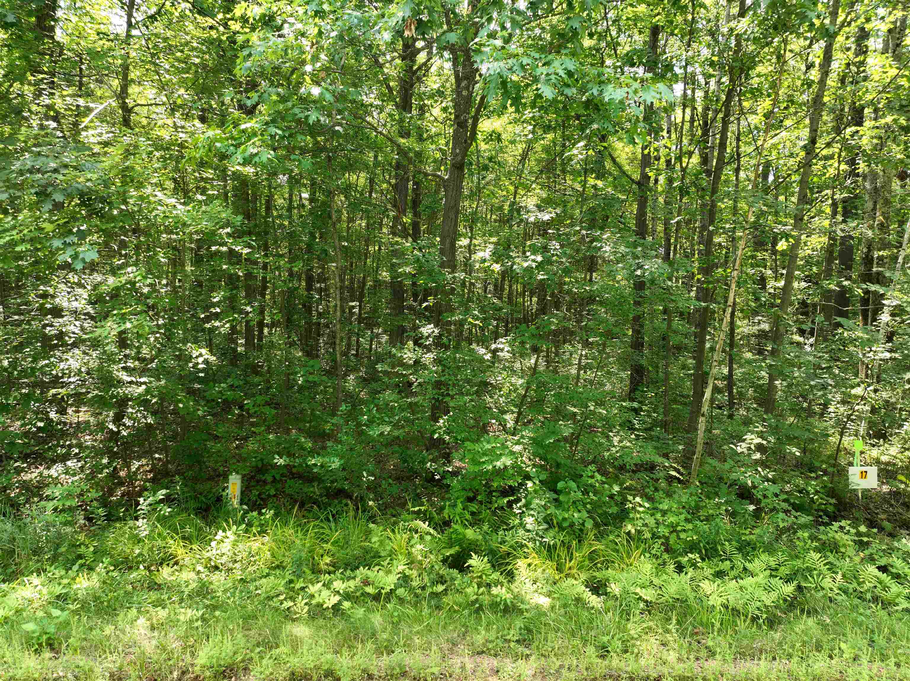 Lot 17 BURMA ROAD, Mosinee, Wisconsin 54455, ,Land,For Sale,Lot 17 BURMA ROAD,22603975