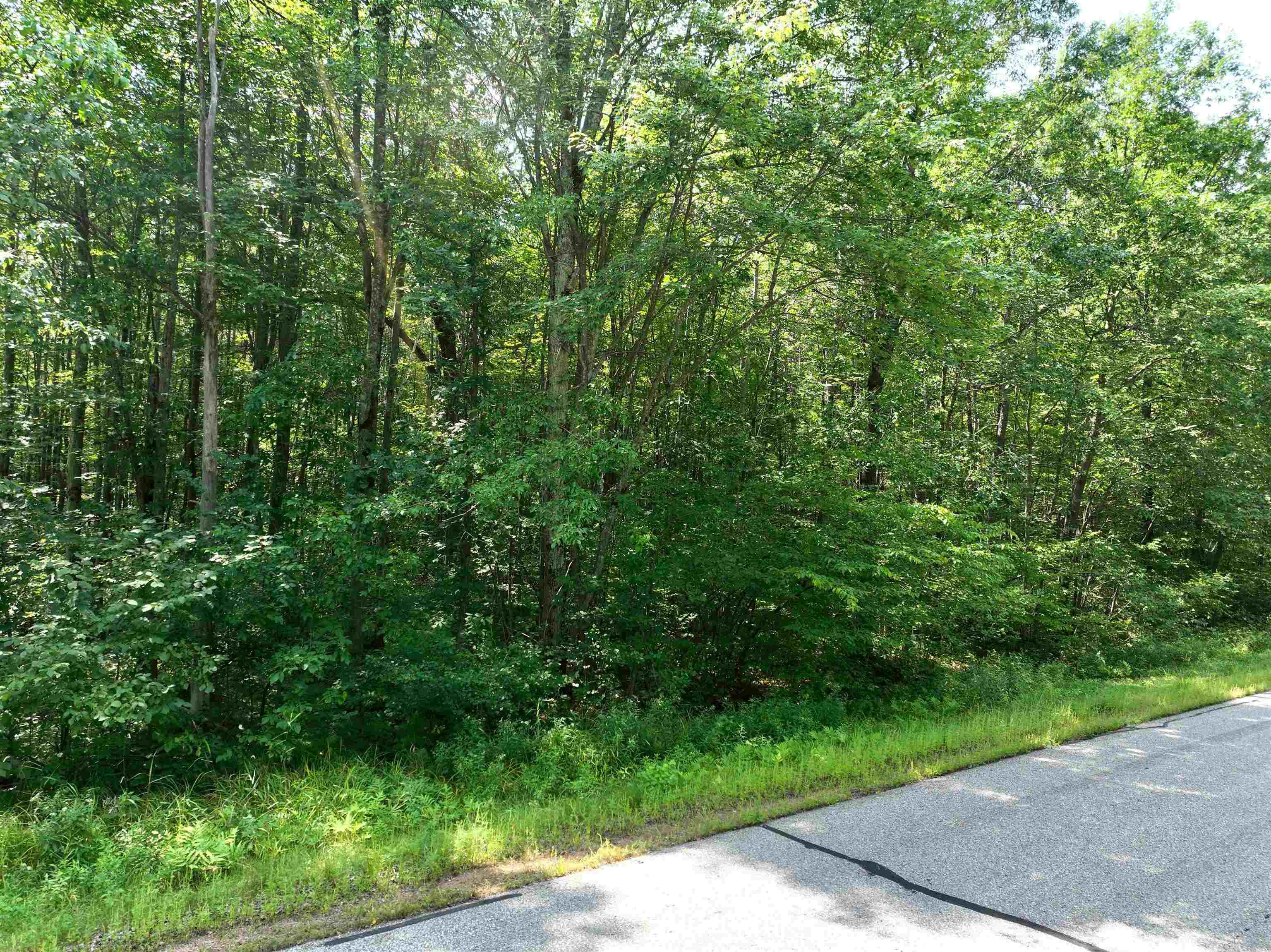 Lot 18 BURMA ROAD, Mosinee, Wisconsin 54455, ,Land,For Sale,Lot 18 BURMA ROAD,22603976