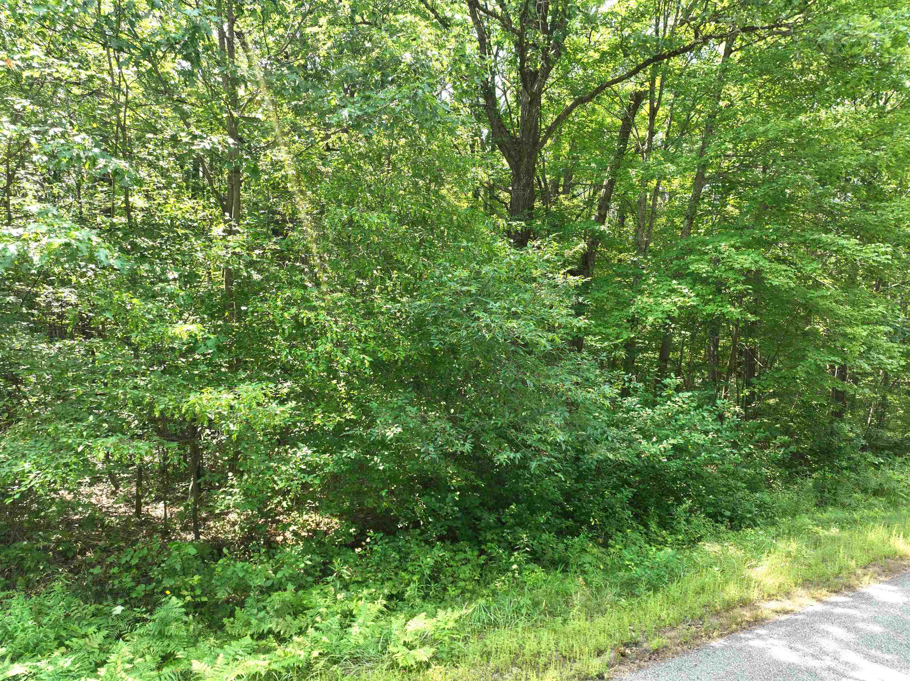 Lot 18 BURMA ROAD, Mosinee, Wisconsin 54455, ,Land,For Sale,Lot 18 BURMA ROAD,22603976