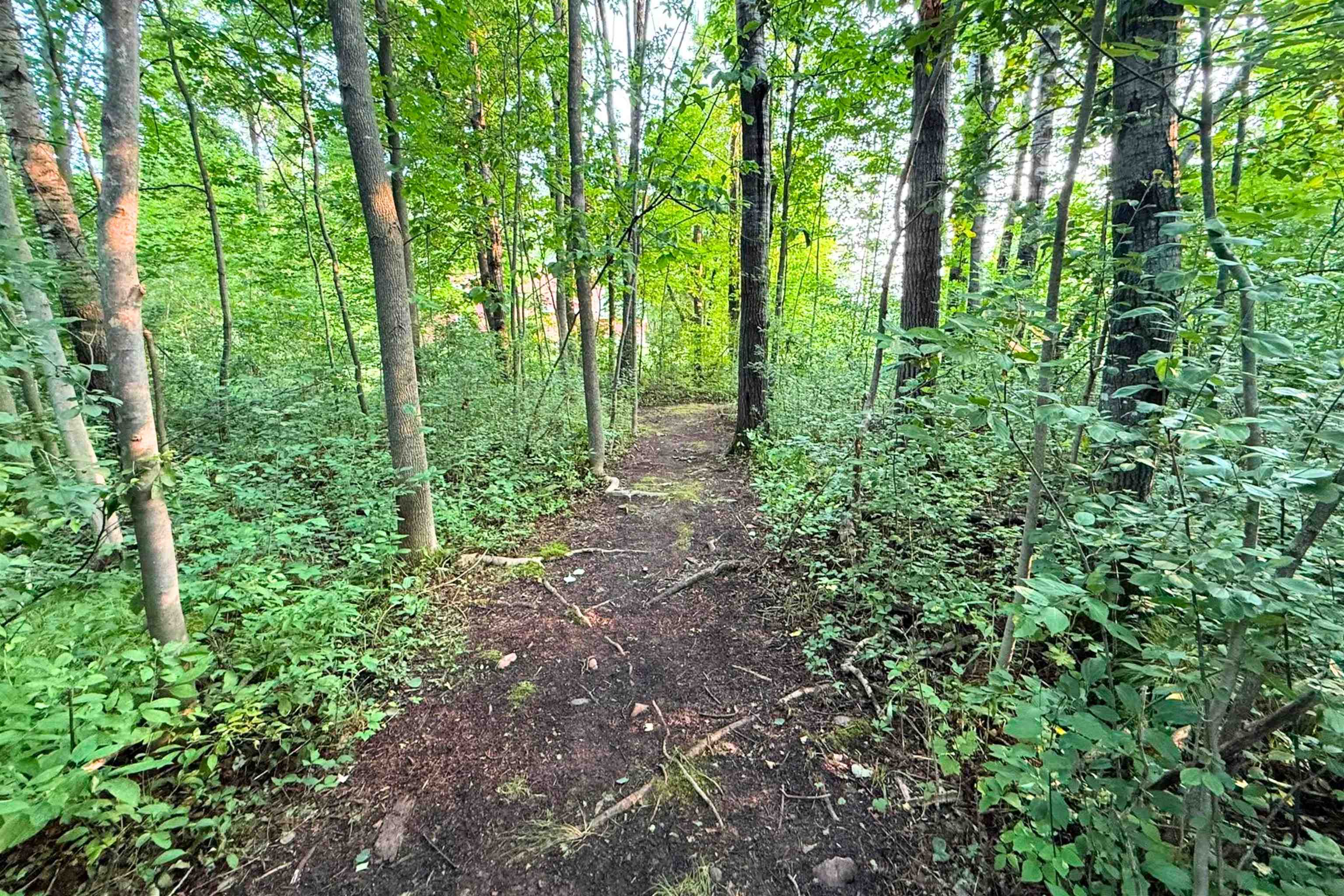 223820 TRAIL ROAD, Ringle, Wisconsin 54471-9560, 4 Bedrooms Bedrooms, ,4 BathroomsBathrooms,Residential,For Sale,223820 TRAIL ROAD,22603977