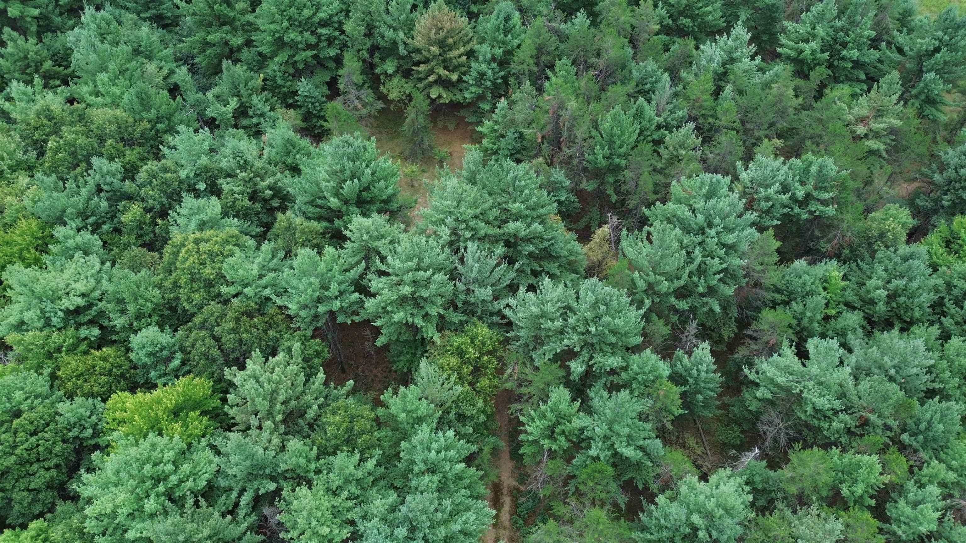 0 COUNTY ROAD F, Plover, Wisconsin 54467, ,Land,For Sale,0 COUNTY ROAD F,22603997