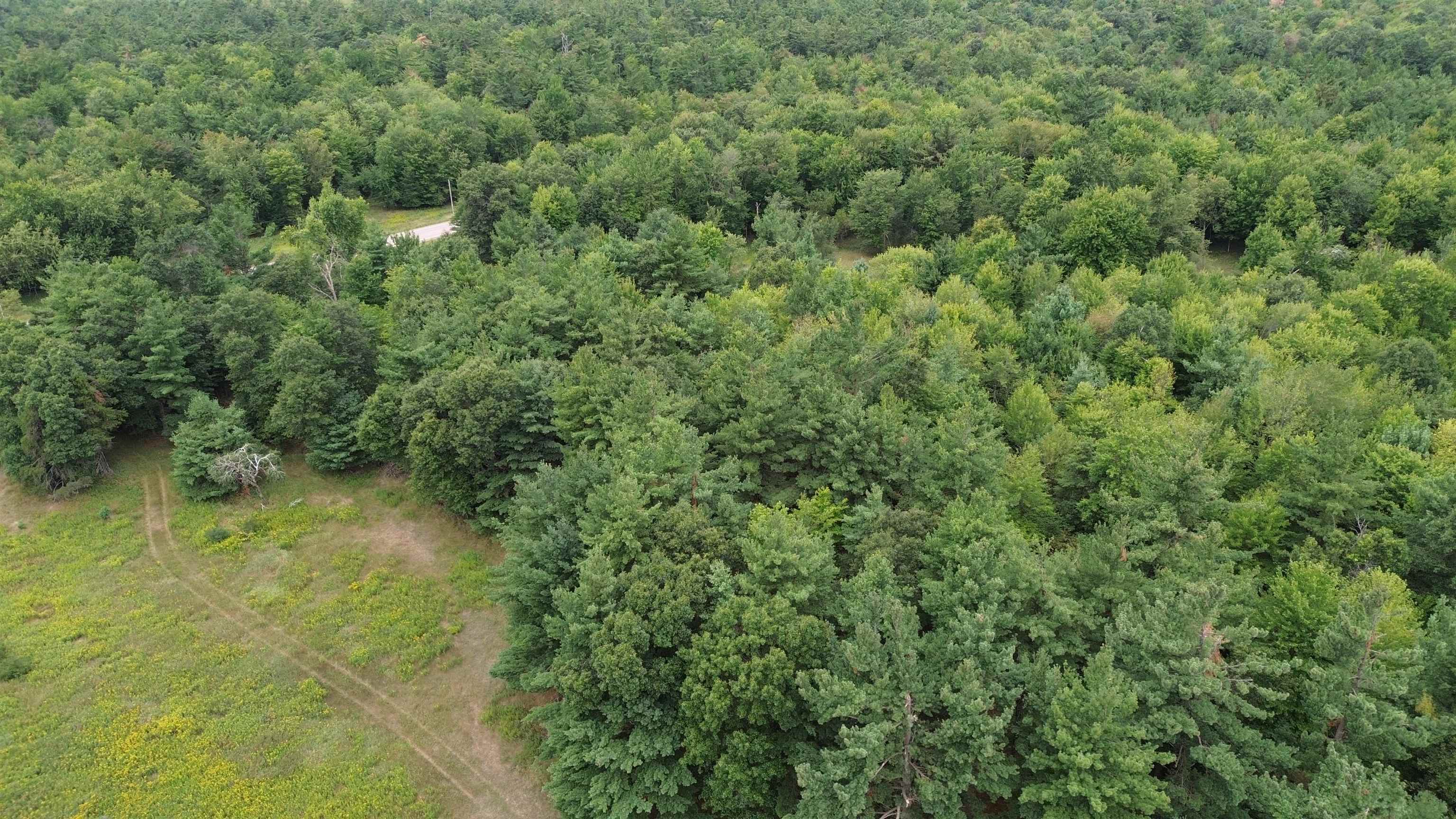 0 COUNTY ROAD F, Plover, Wisconsin 54467, ,Land,For Sale,0 COUNTY ROAD F,22603997