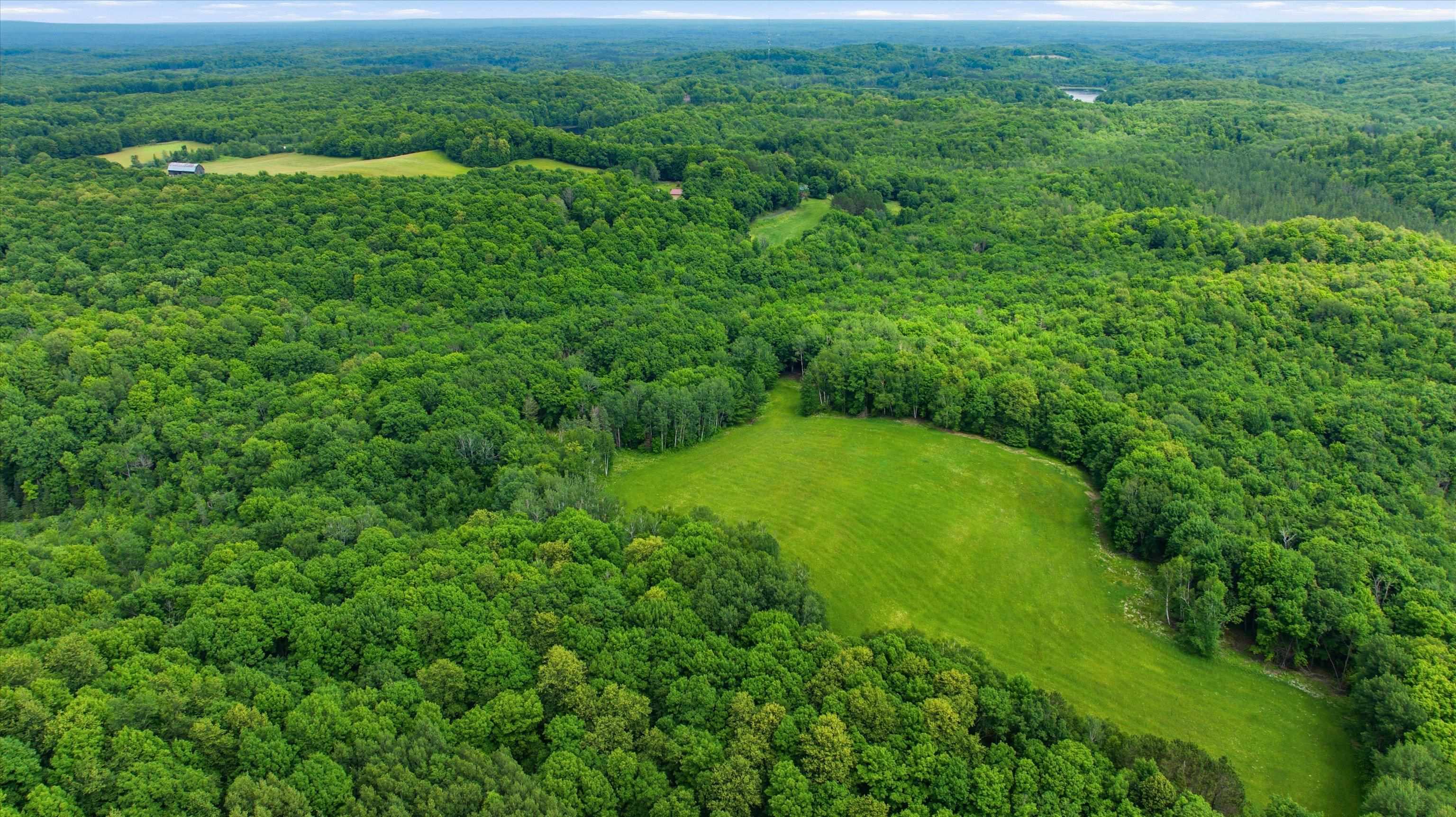 BRUSH CREEK ROAD, Medford, Wisconsin 54451, ,Land,For Sale,BRUSH CREEK ROAD,22603999