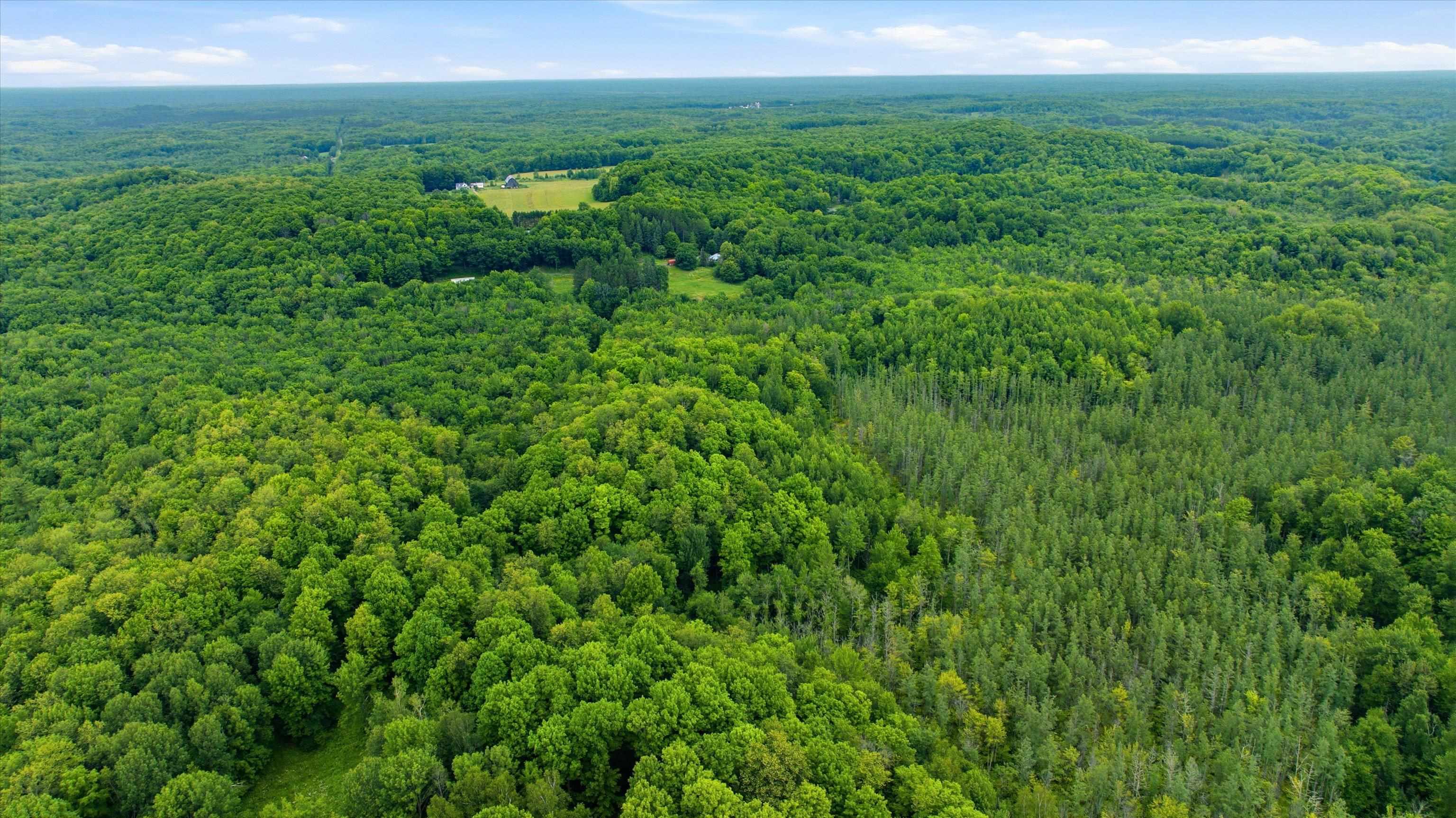 BRUSH CREEK ROAD, Medford, Wisconsin 54451, ,Land,For Sale,BRUSH CREEK ROAD,22603999