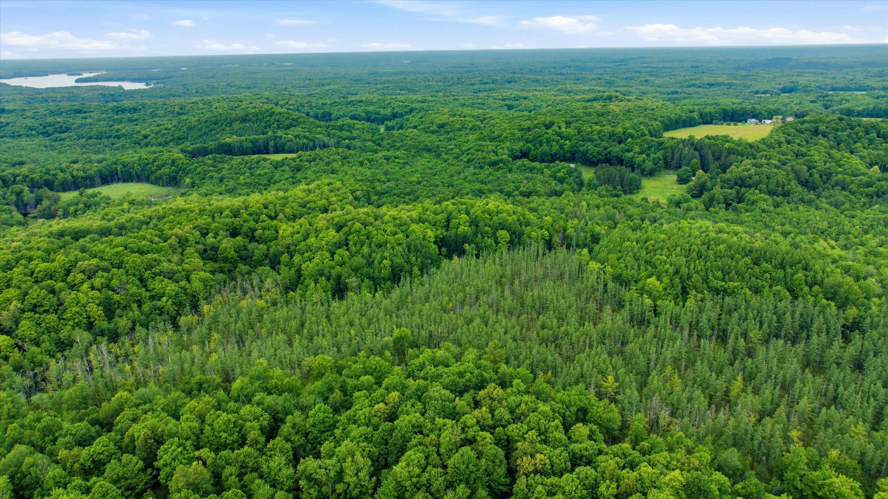 BRUSH CREEK ROAD, Medford, Wisconsin 54451, ,Land,For Sale,BRUSH CREEK ROAD,22603999