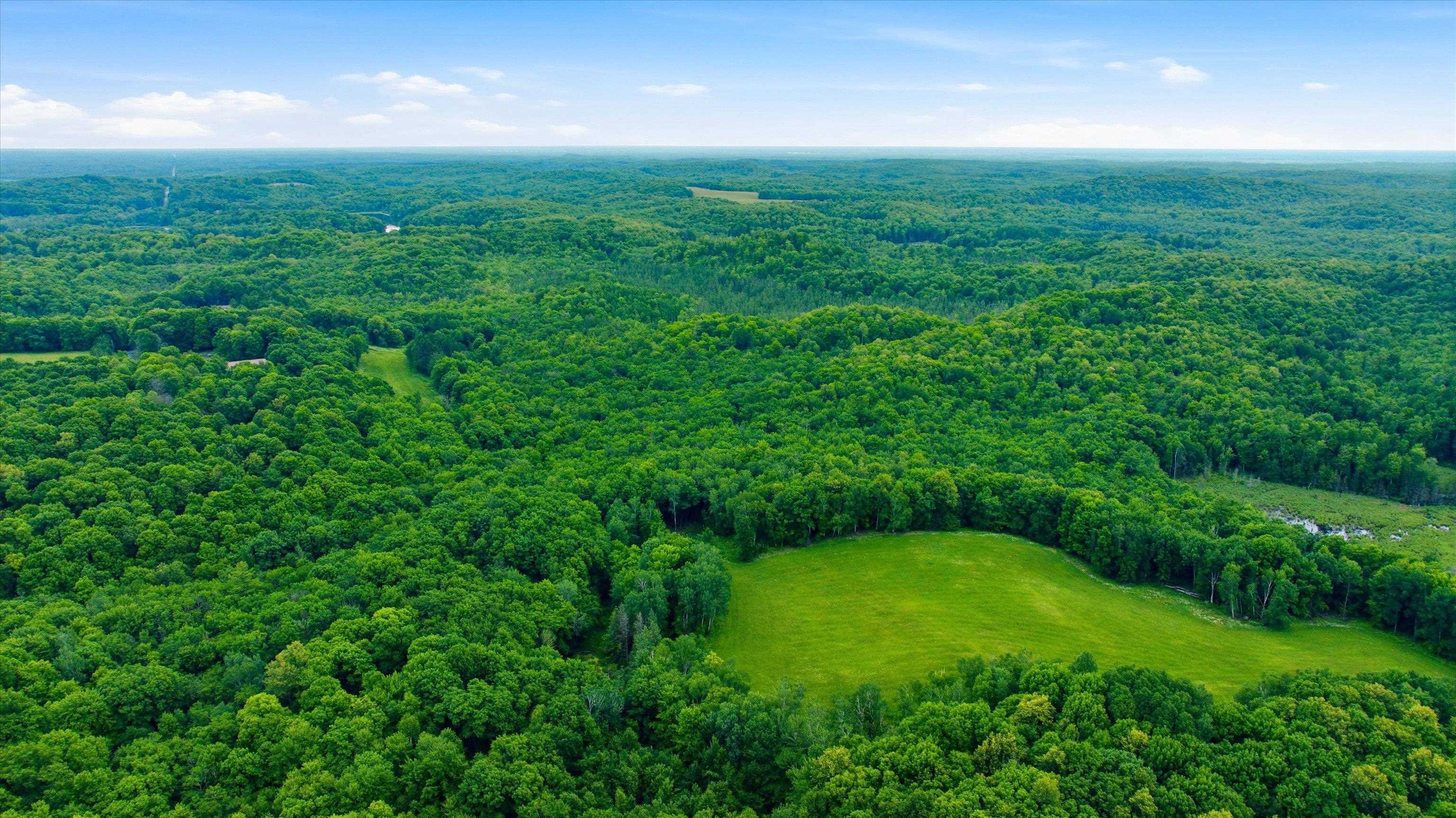 018-00101-0000 BRUSH CREEK ROAD, Medford, Wisconsin 54451, ,Land,For Sale,018-00101-0000 BRUSH CREEK ROAD,22604000