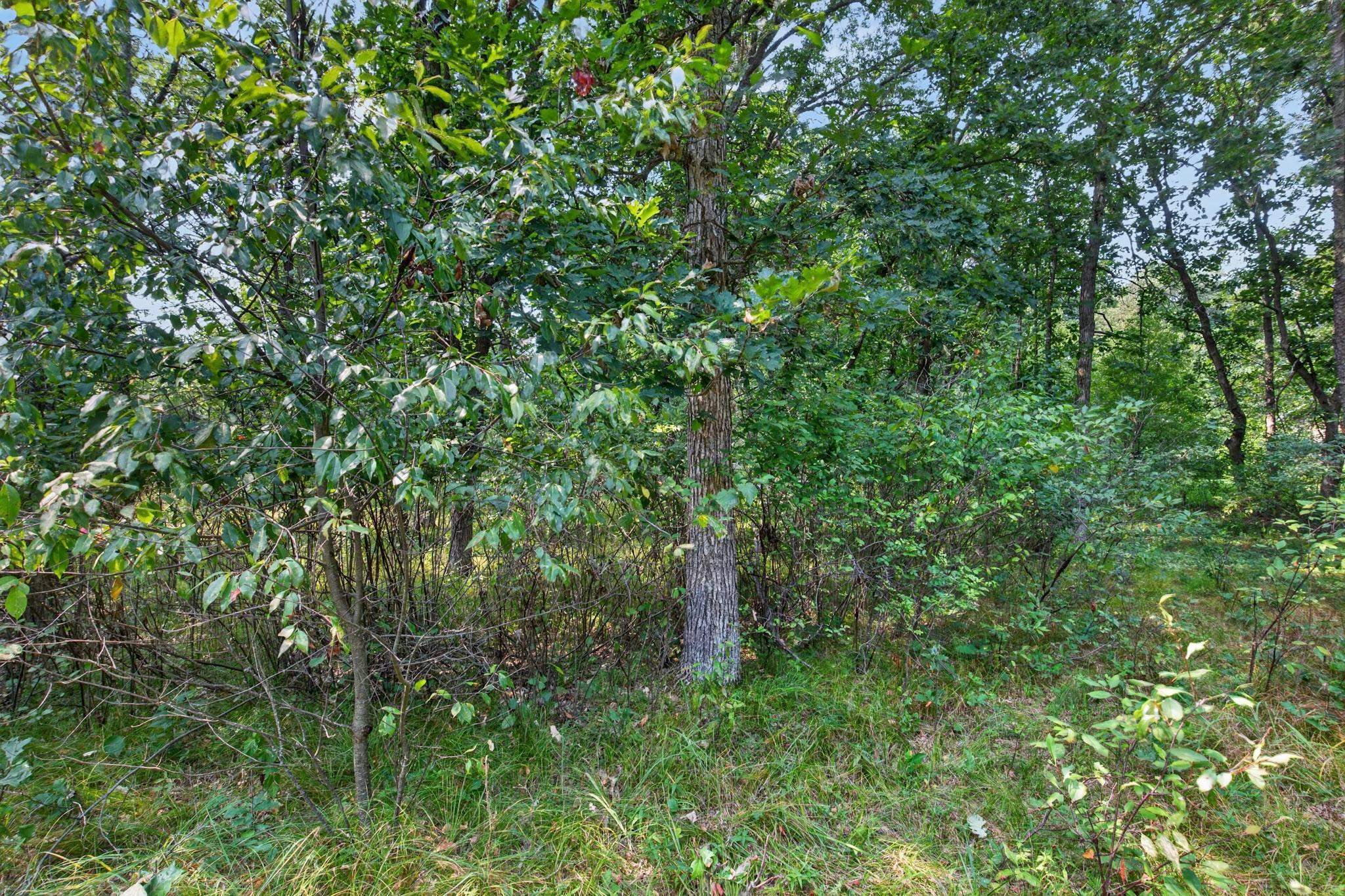 349 PINEHURST DRIVE, Nekoosa, Wisconsin 54457, ,Land,For Sale,349 PINEHURST DRIVE,22604002