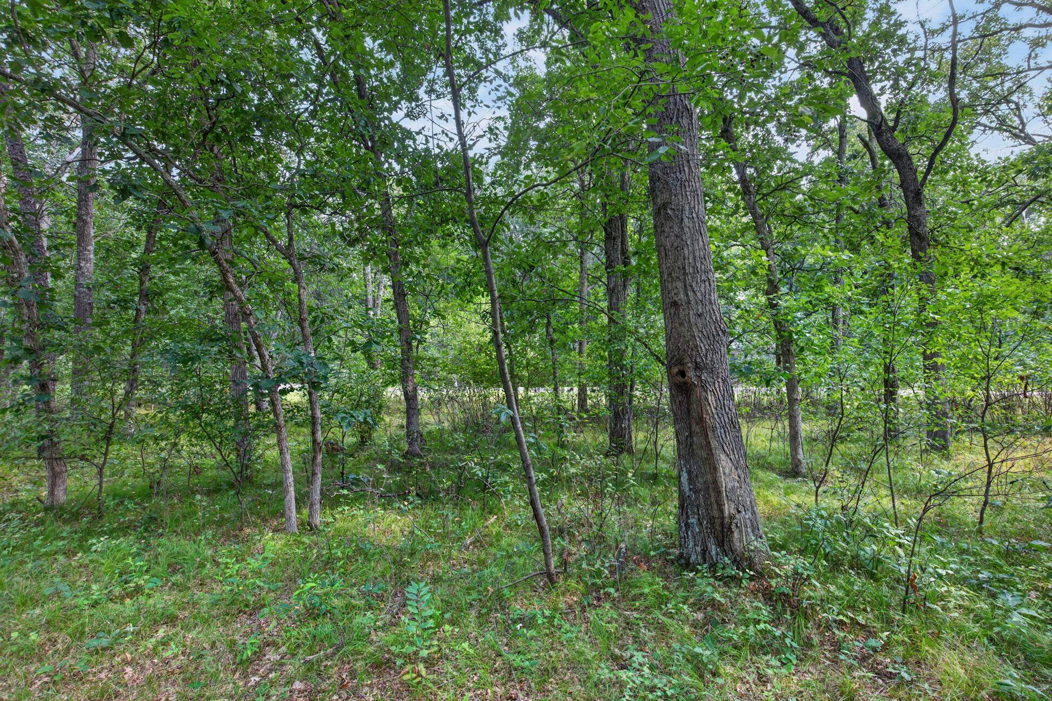 349 PINEHURST DRIVE, Nekoosa, Wisconsin 54457, ,Land,For Sale,349 PINEHURST DRIVE,22604002