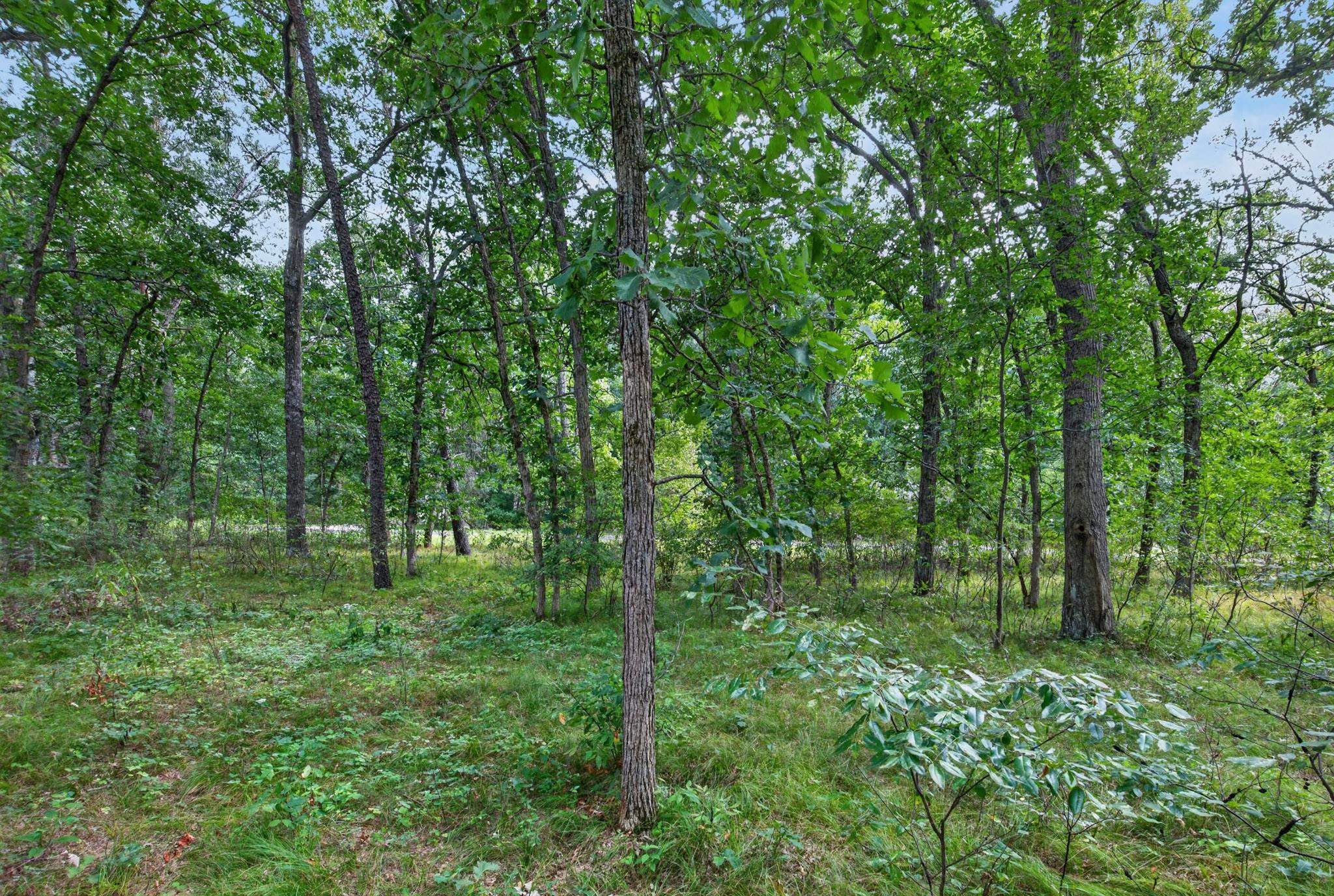 349 PINEHURST DRIVE, Nekoosa, Wisconsin 54457, ,Land,For Sale,349 PINEHURST DRIVE,22604002