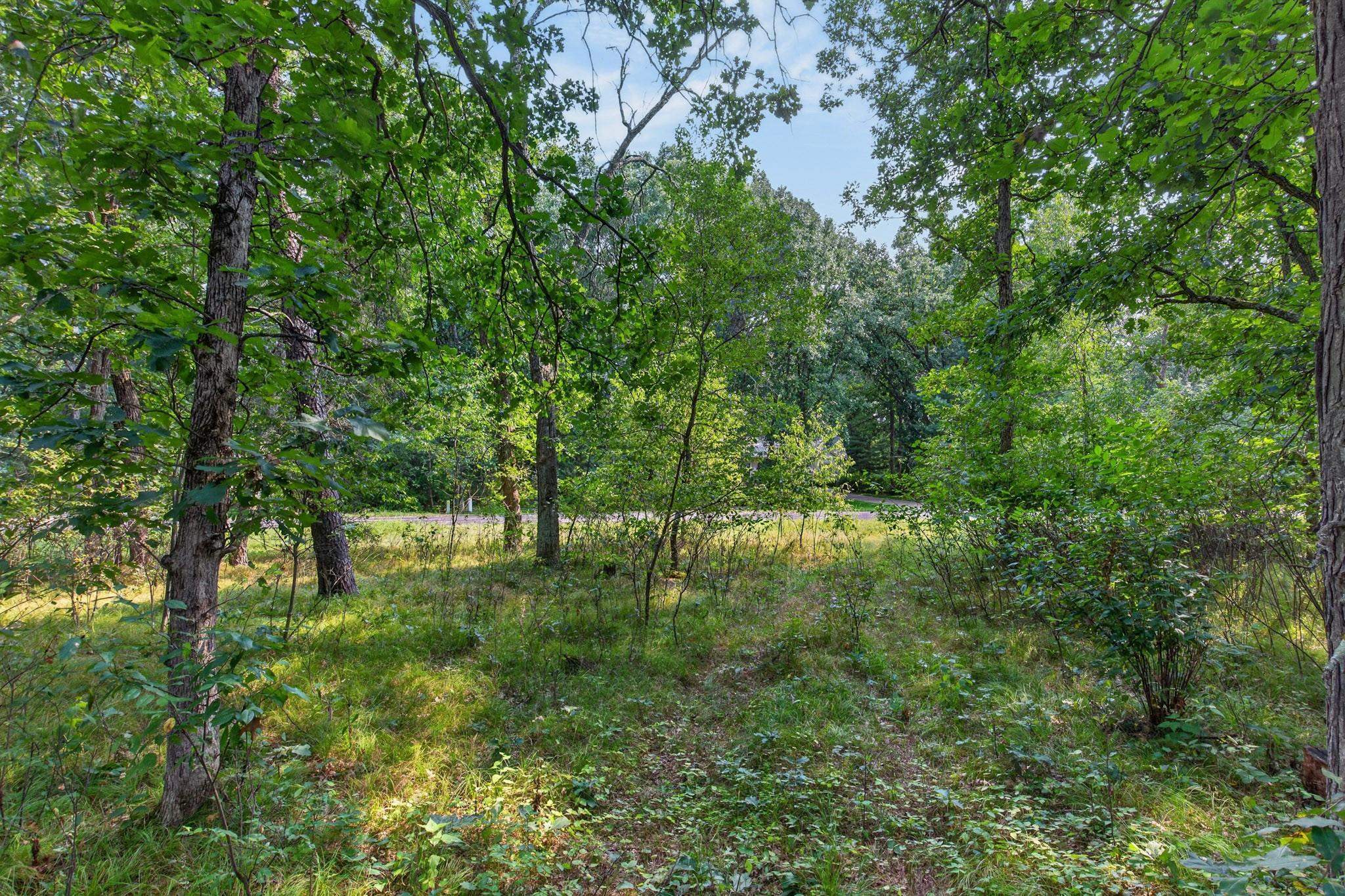 349 PINEHURST DRIVE, Nekoosa, Wisconsin 54457, ,Land,For Sale,349 PINEHURST DRIVE,22604002