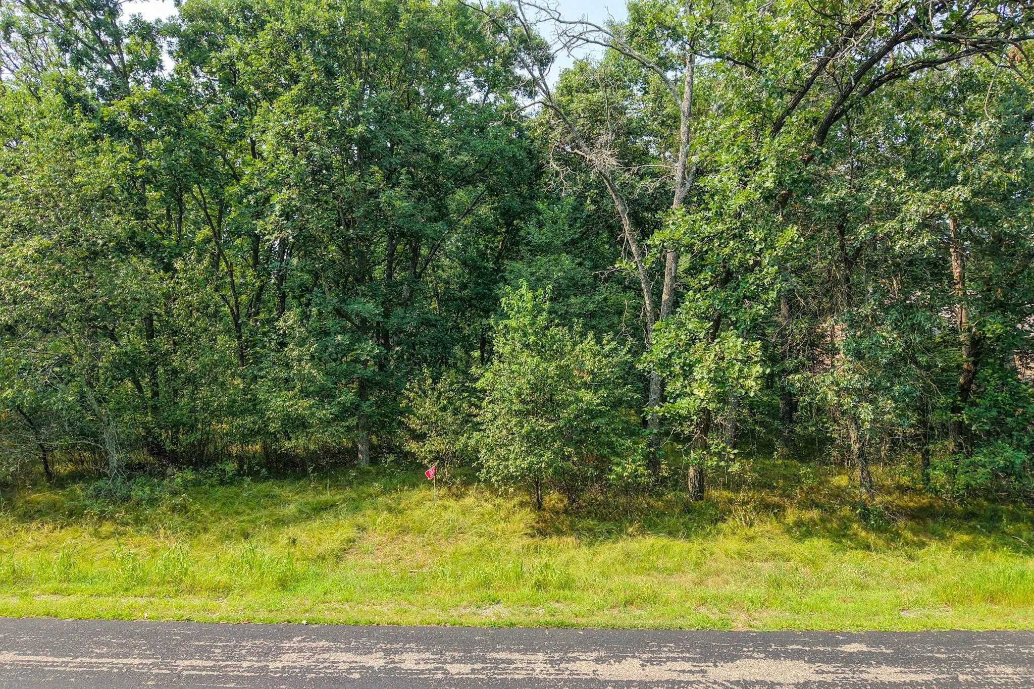 349 PINEHURST DRIVE, Nekoosa, Wisconsin 54457, ,Land,For Sale,349 PINEHURST DRIVE,22604002