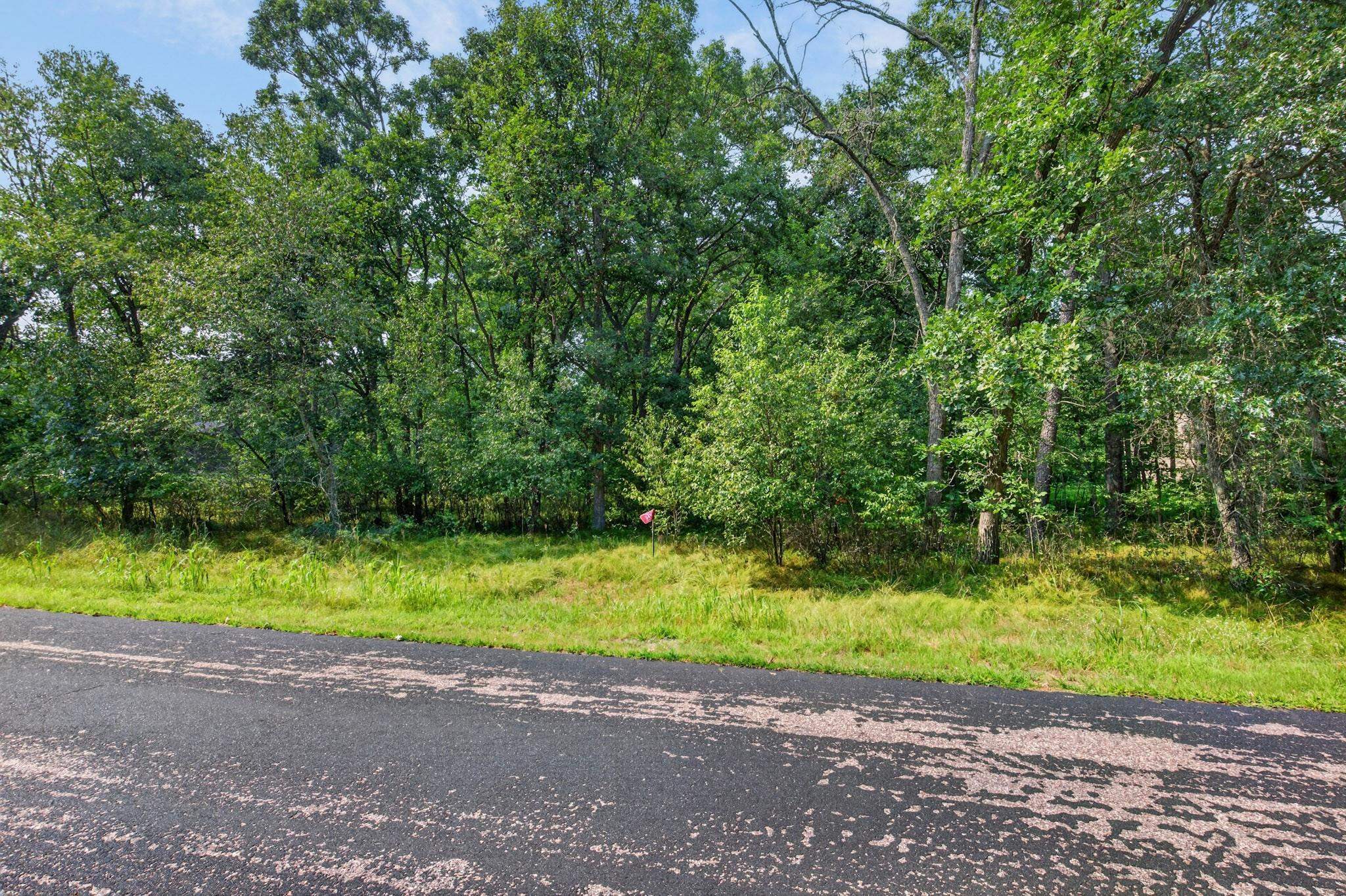 349 PINEHURST DRIVE, Nekoosa, Wisconsin 54457, ,Land,For Sale,349 PINEHURST DRIVE,22604002