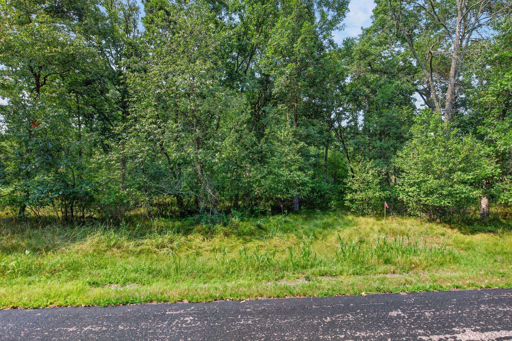 349 PINEHURST DRIVE, Nekoosa, Wisconsin 54457, ,Land,For Sale,349 PINEHURST DRIVE,22604002