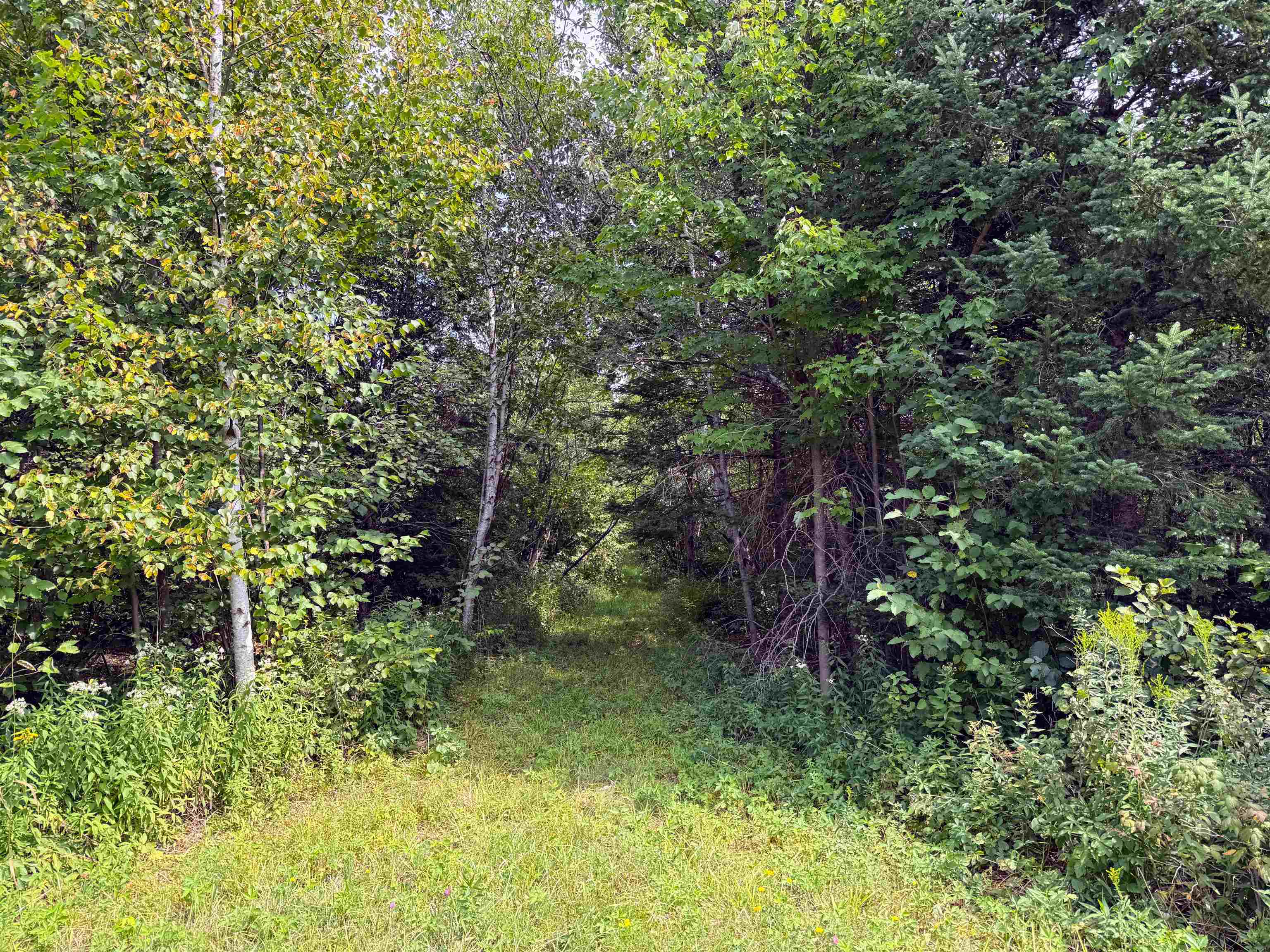 N5402 ASPEN ROAD, Brantwood, Wisconsin 54513, ,Land,For Sale,N5402 ASPEN ROAD,22604007