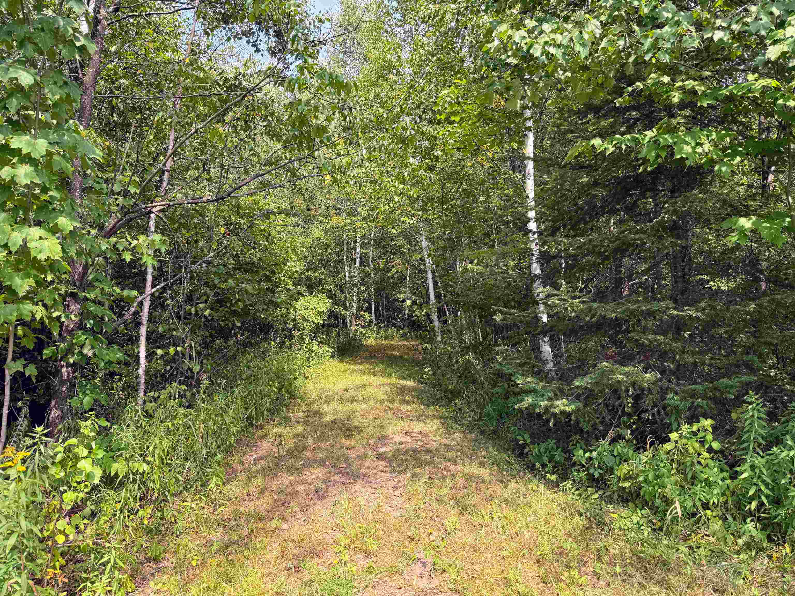 N5402 ASPEN ROAD, Brantwood, Wisconsin 54513, ,Land,For Sale,N5402 ASPEN ROAD,22604007