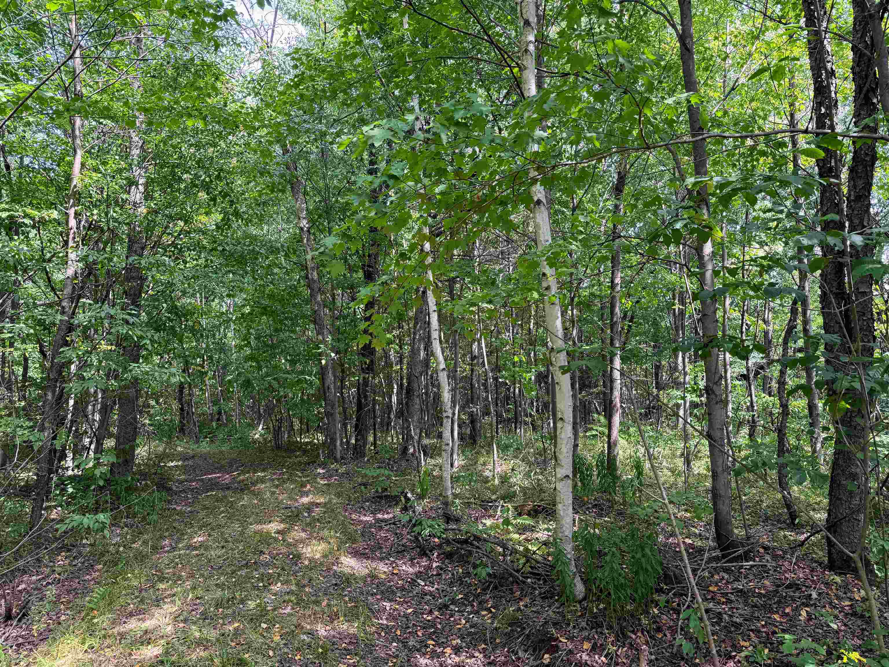 N5402 ASPEN ROAD, Brantwood, Wisconsin 54513, ,Land,For Sale,N5402 ASPEN ROAD,22604007