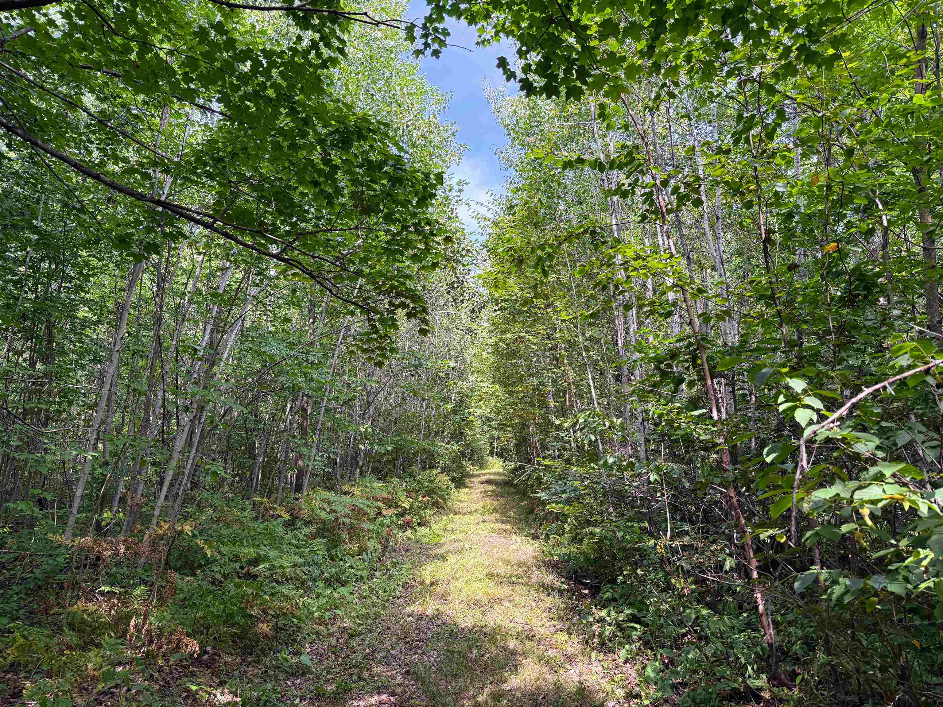 N5402 ASPEN ROAD, Brantwood, Wisconsin 54513, ,Land,For Sale,N5402 ASPEN ROAD,22604007