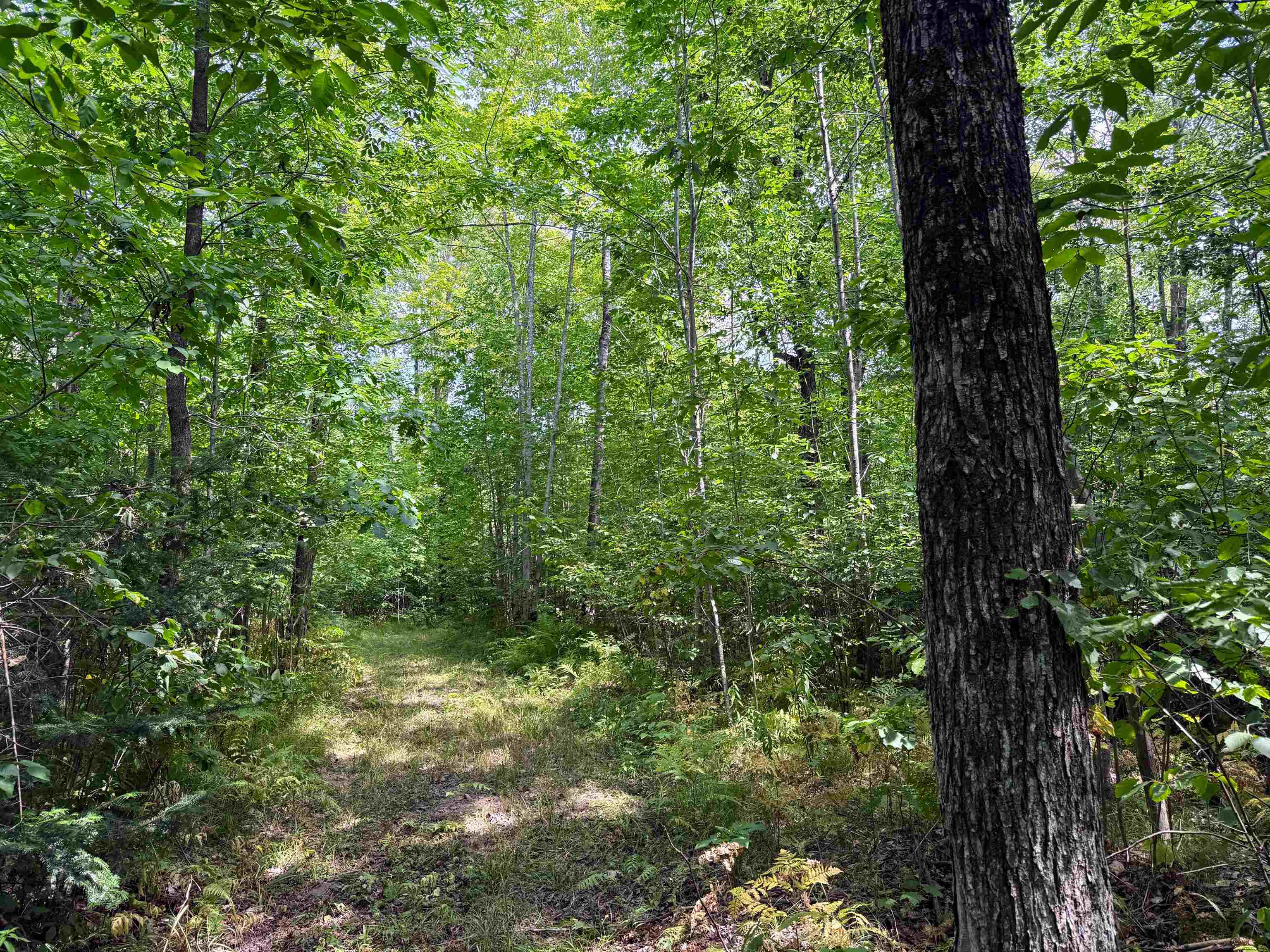 N5402 ASPEN ROAD, Brantwood, Wisconsin 54513, ,Land,For Sale,N5402 ASPEN ROAD,22604007