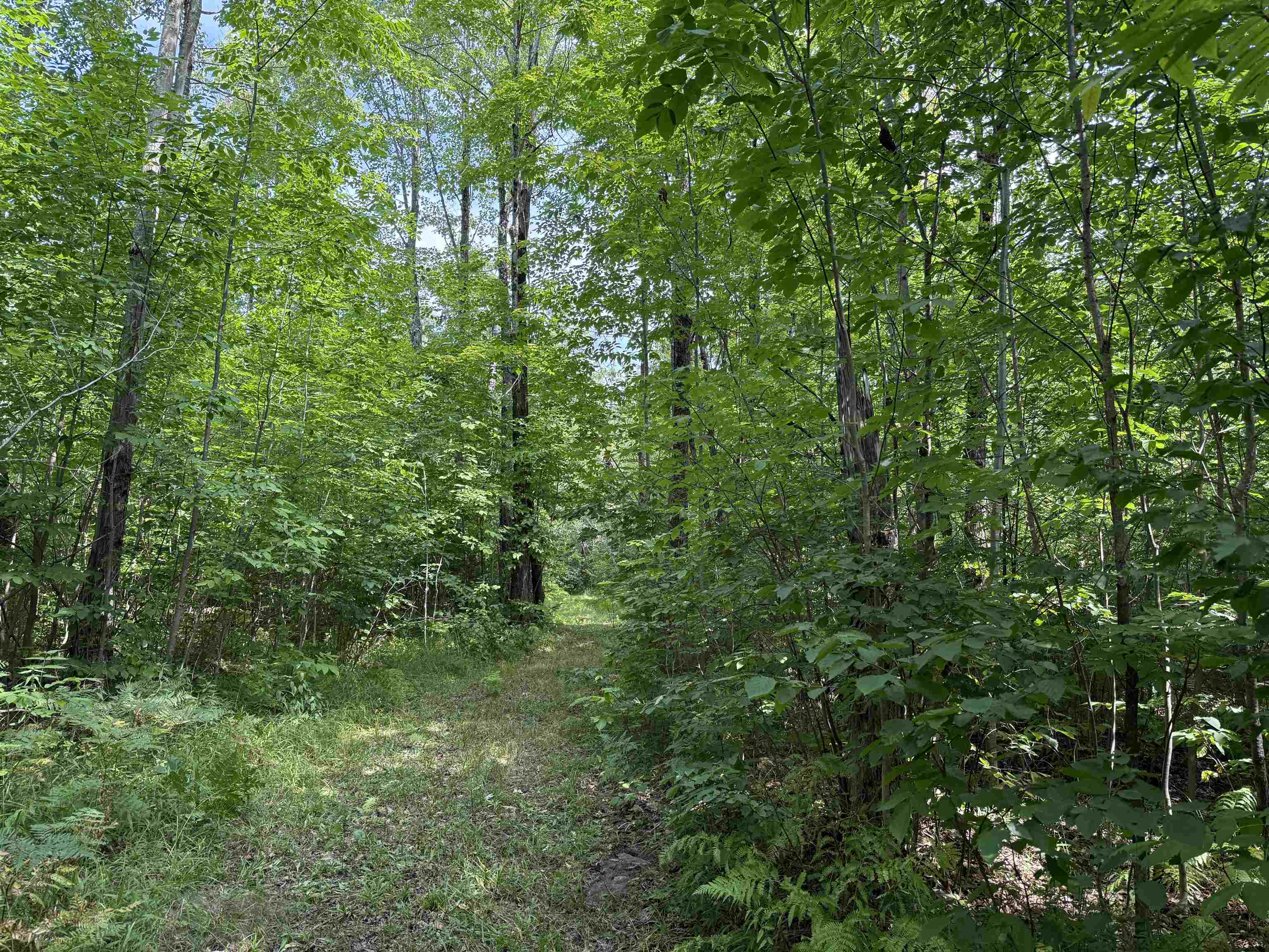 N5402 ASPEN ROAD, Brantwood, Wisconsin 54513, ,Land,For Sale,N5402 ASPEN ROAD,22604007