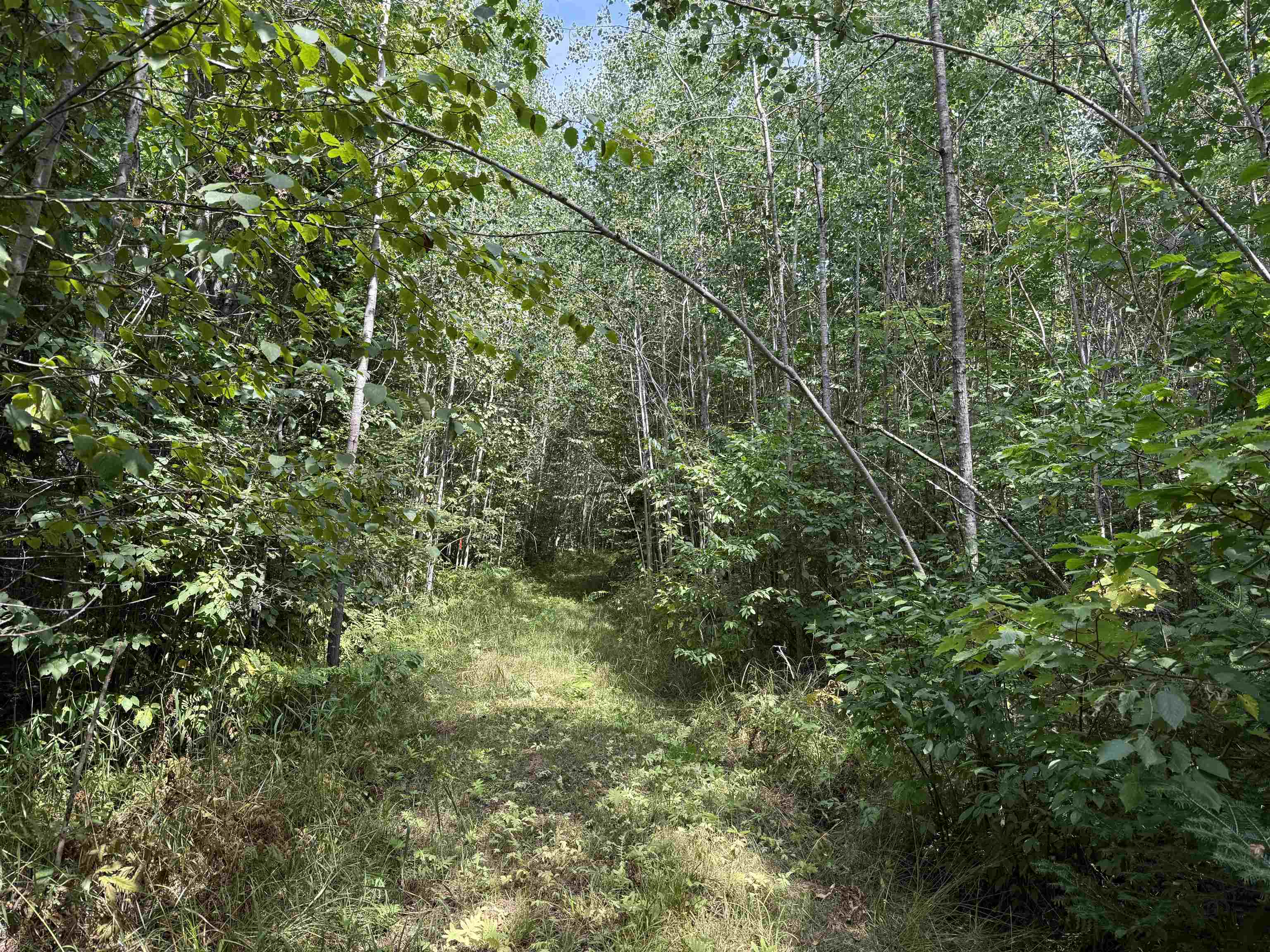 N5402 ASPEN ROAD, Brantwood, Wisconsin 54513, ,Land,For Sale,N5402 ASPEN ROAD,22604007